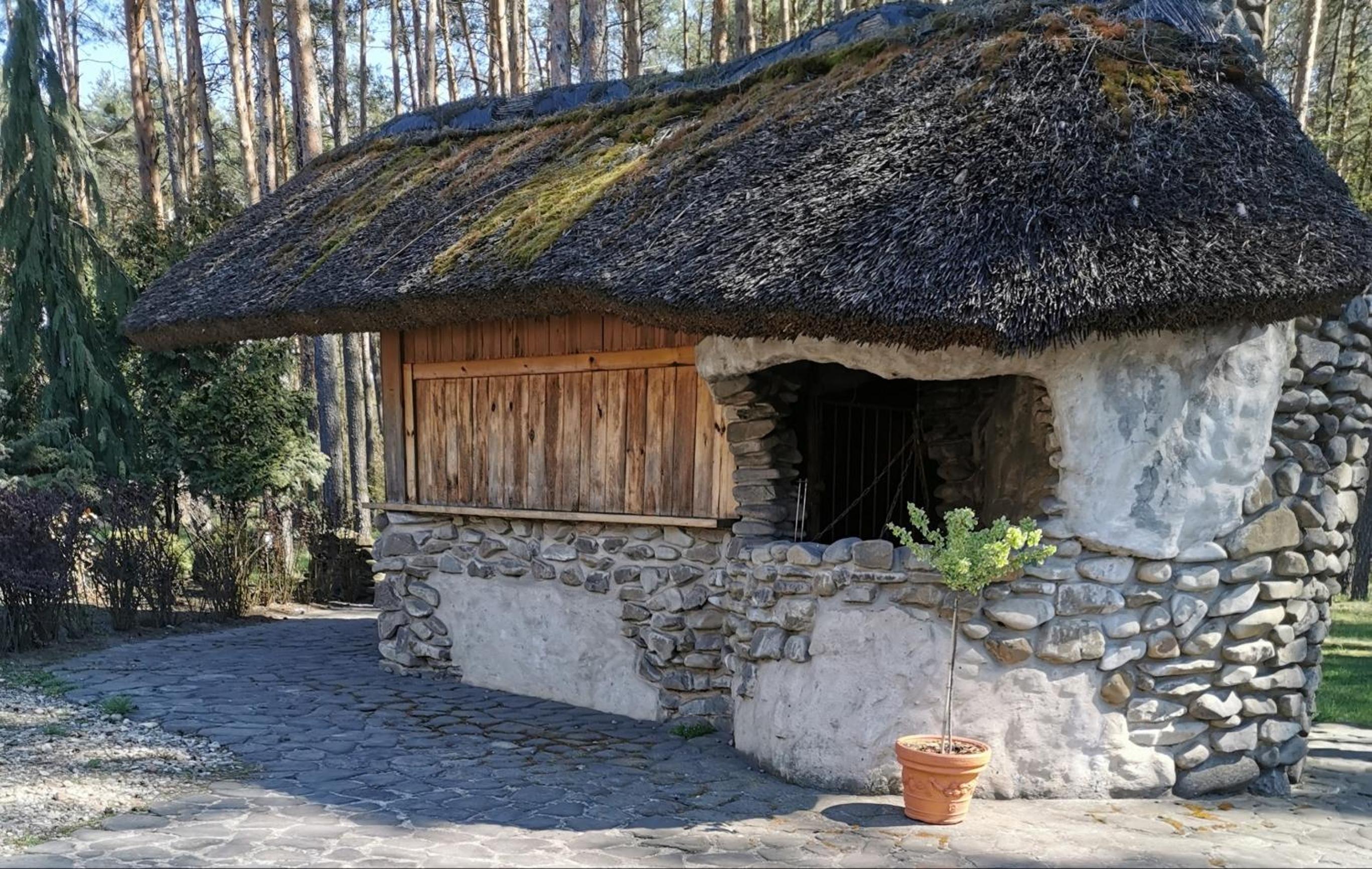 Photo 12