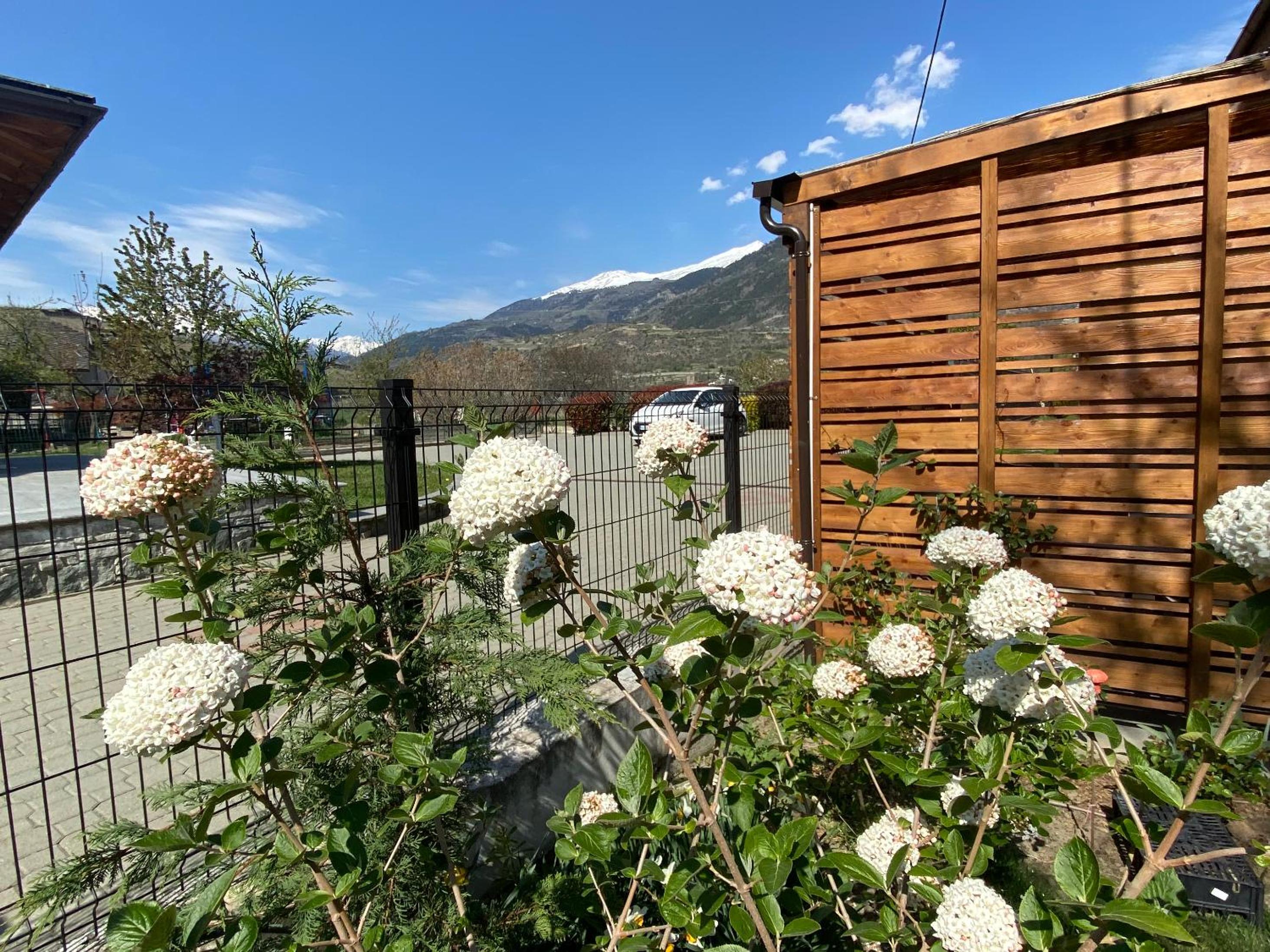 La Mucca Pelosa B&B view 4