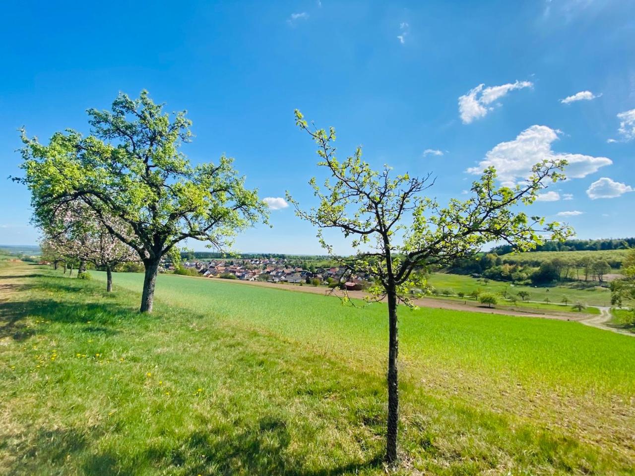 Pension Schmitt view 3
