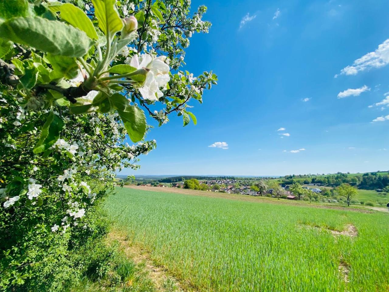 Pension Schmitt view 4