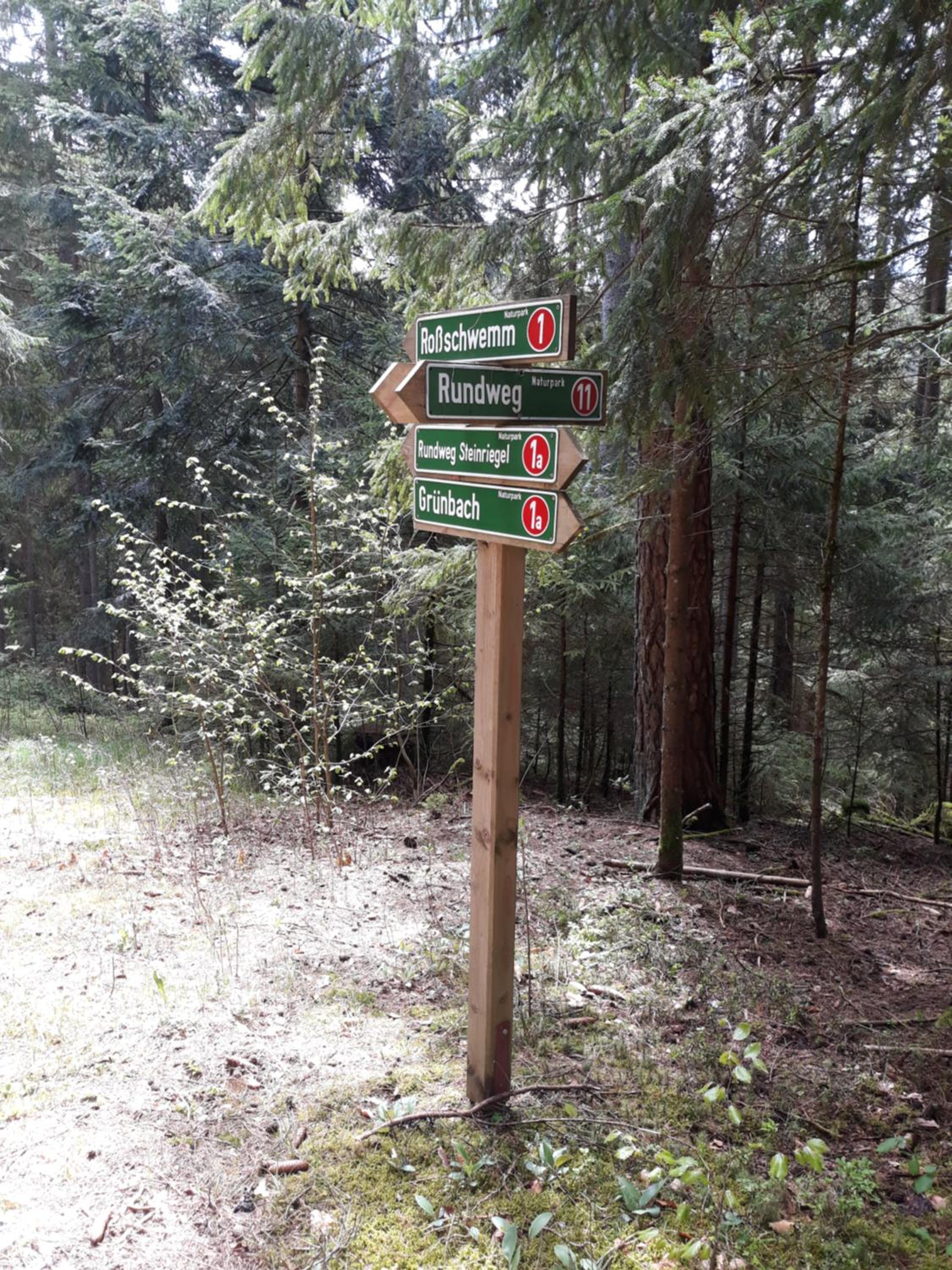 Photo 33