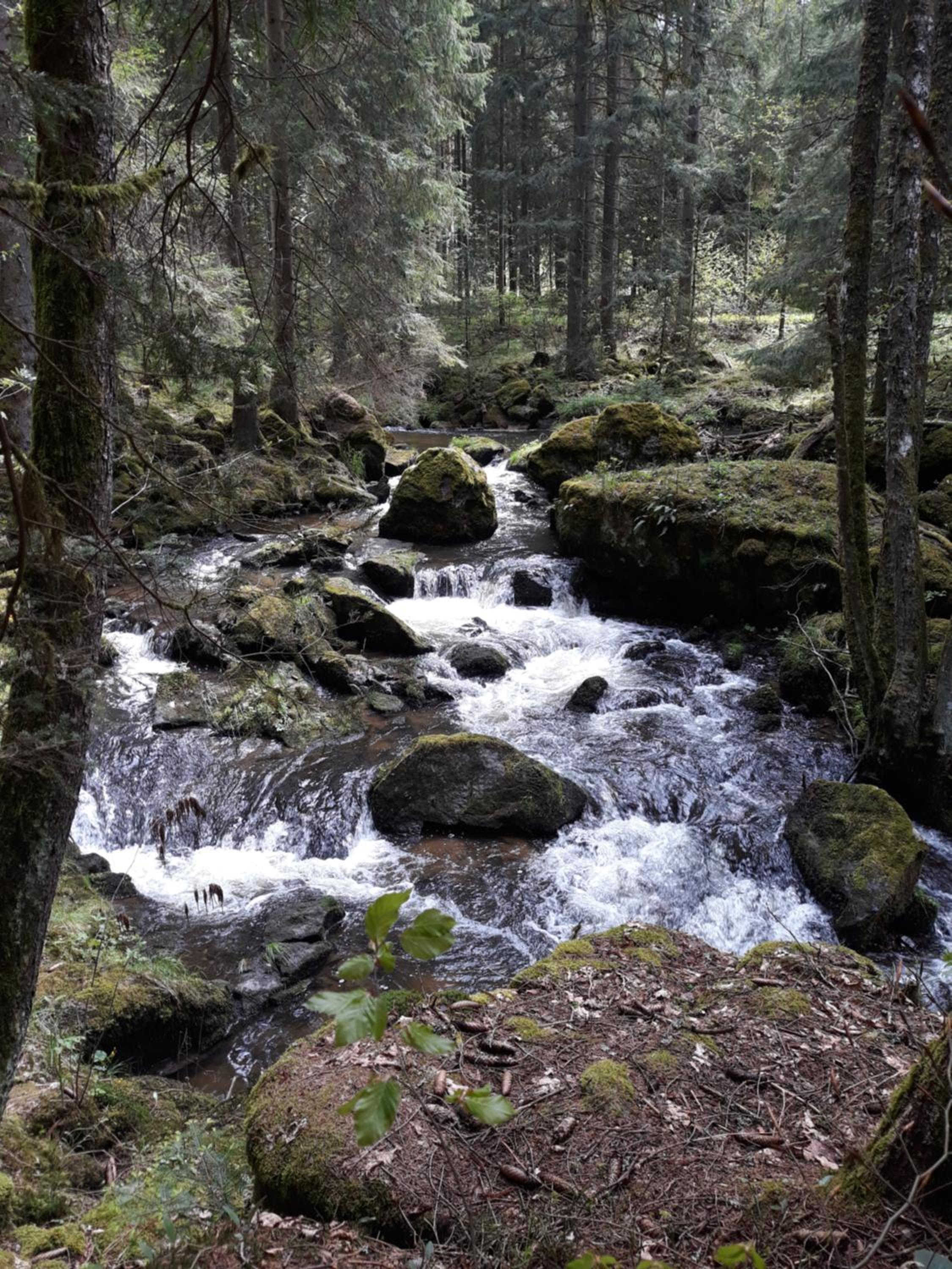 Photo 32