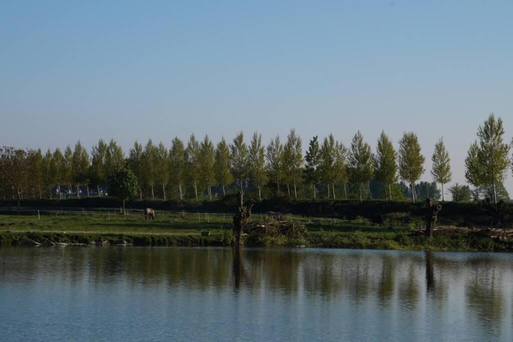 Photo 34