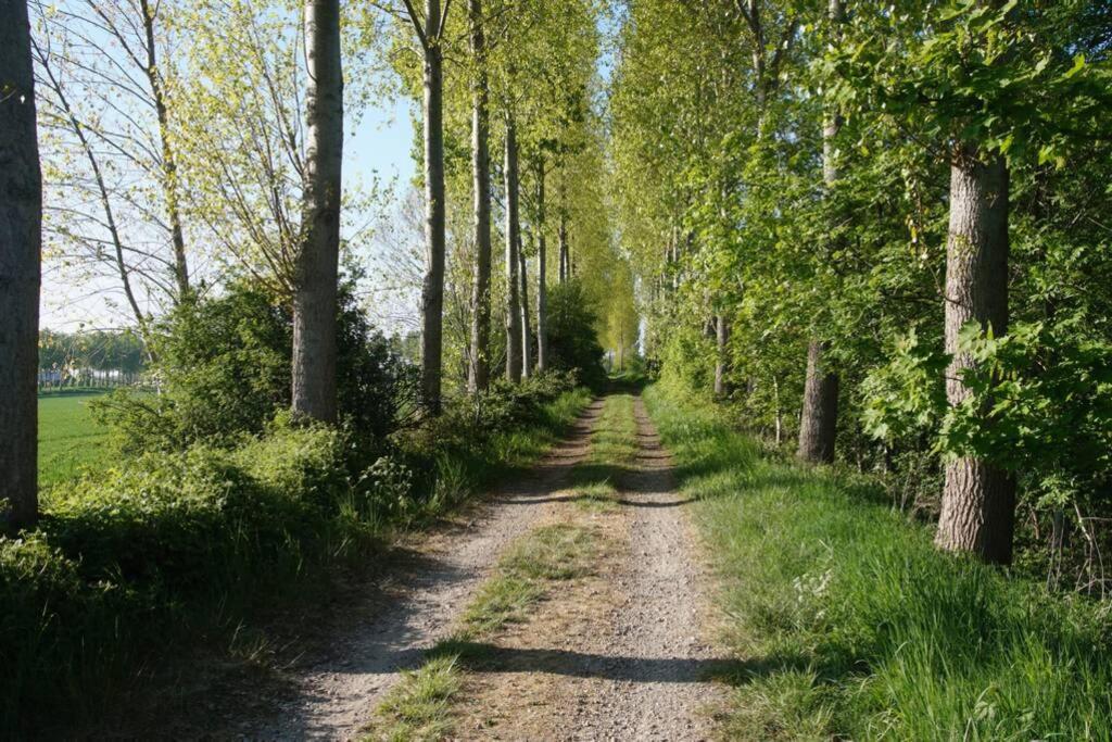 Photo 37