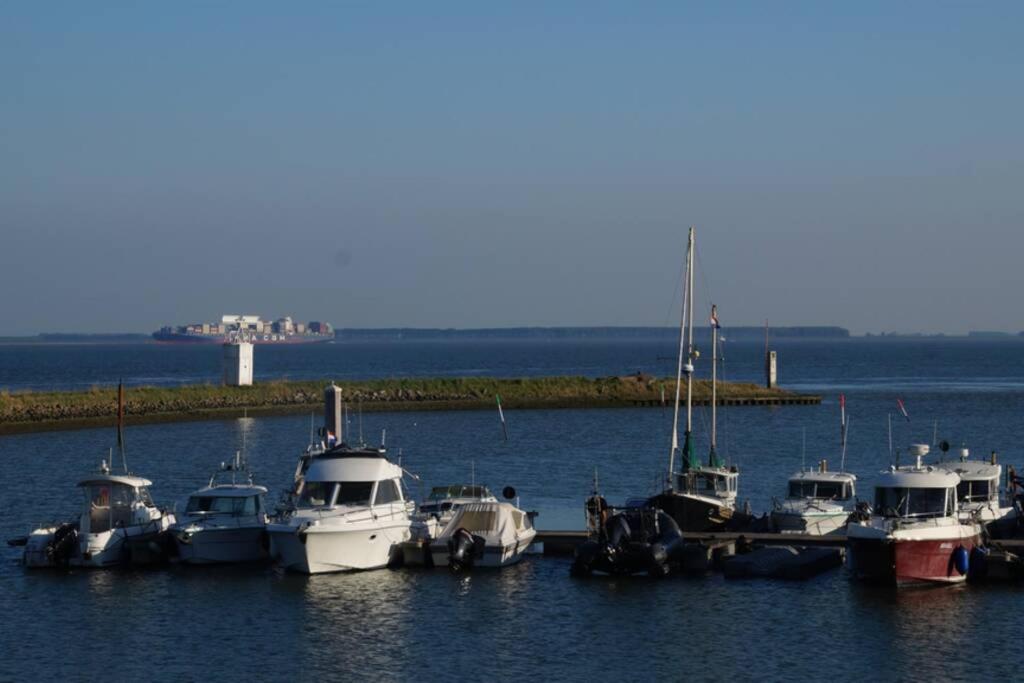 Photo 40