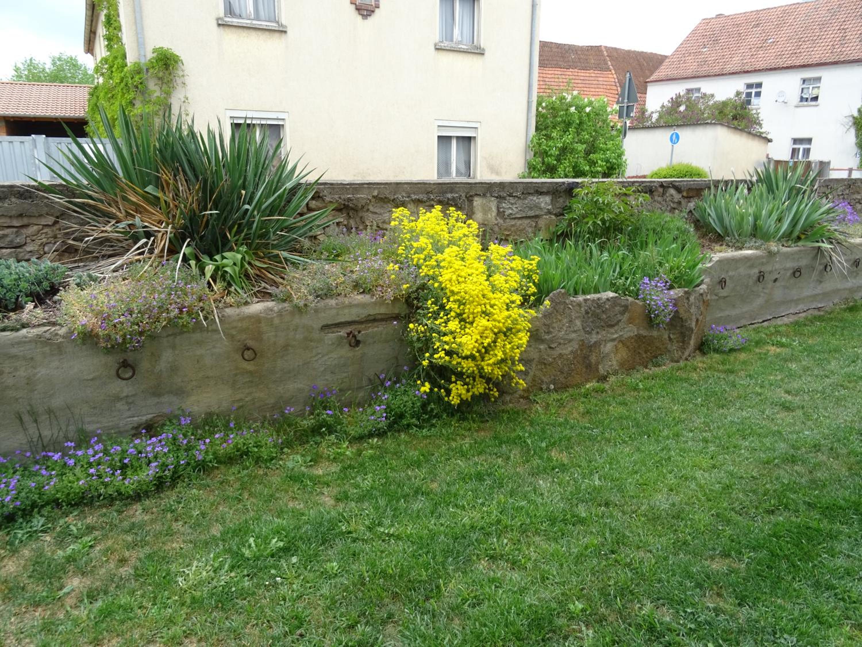 Photo 22