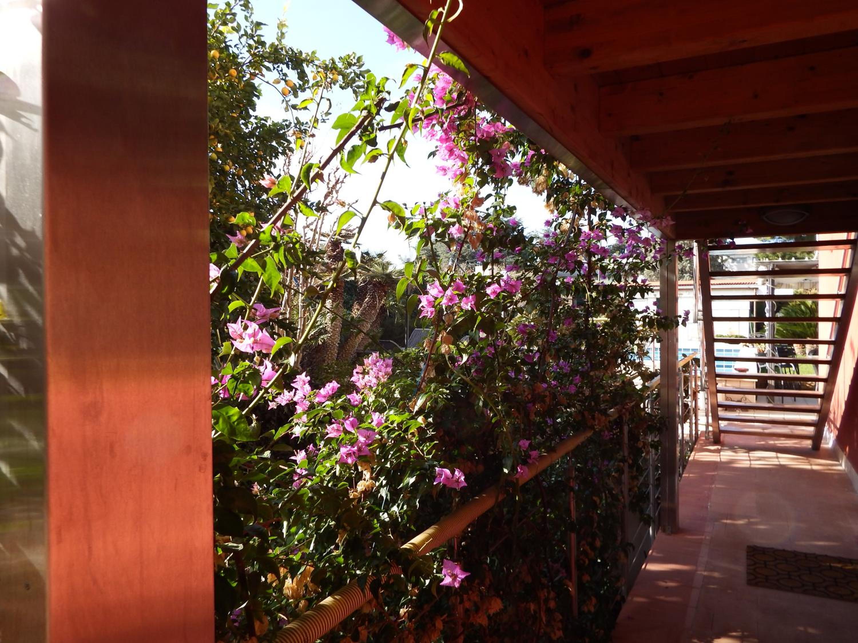 B&B Albaluna view 2