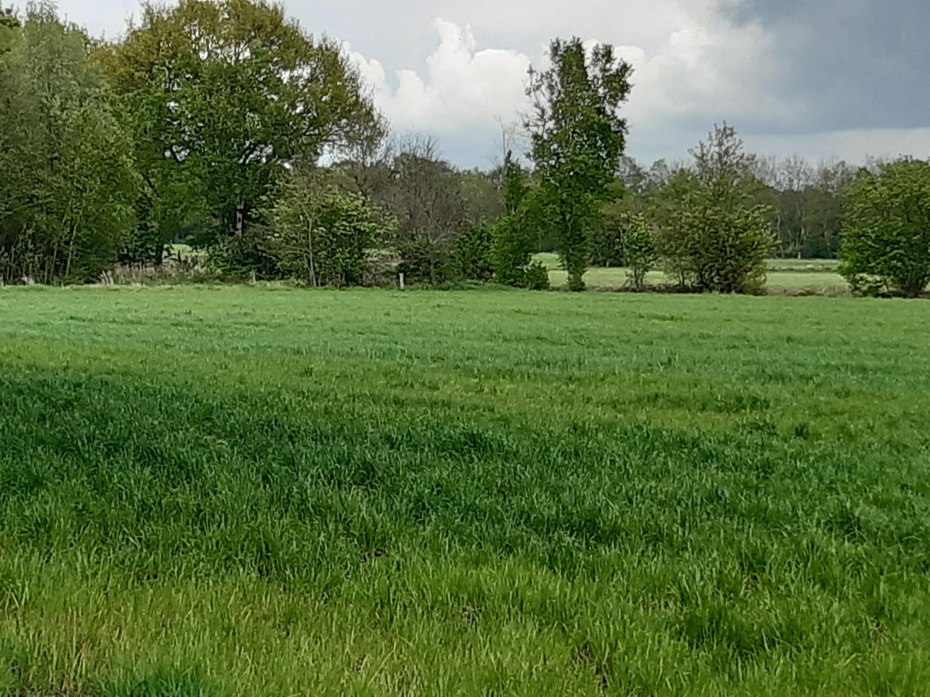 Auf dem Lande view 3