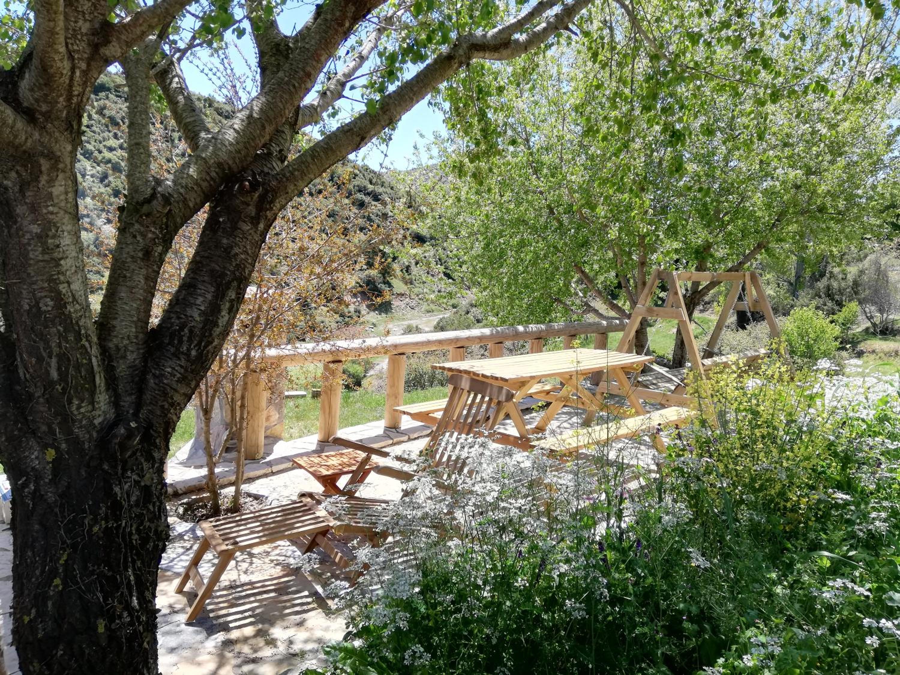 Photo 21
