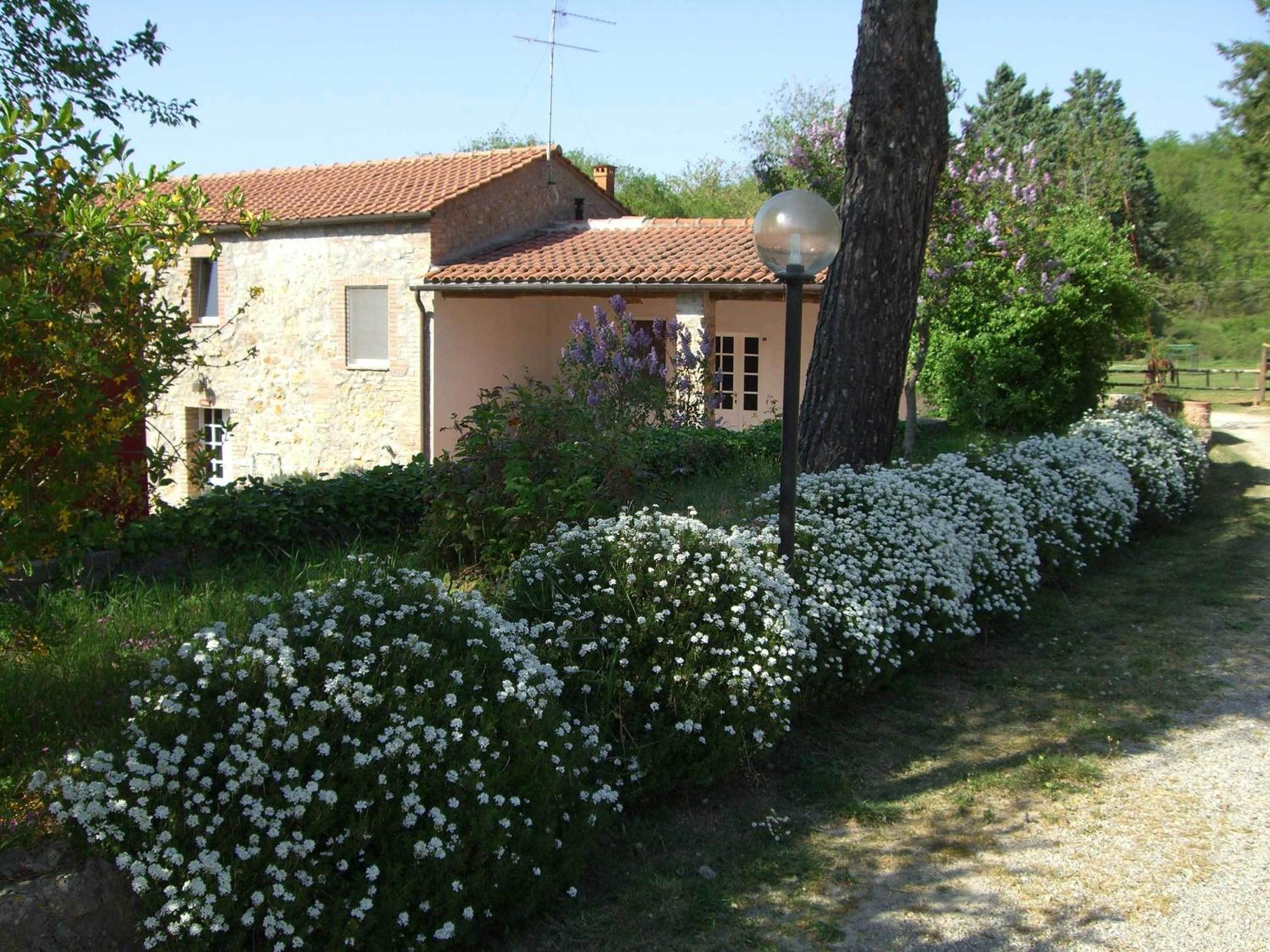 Photo 38