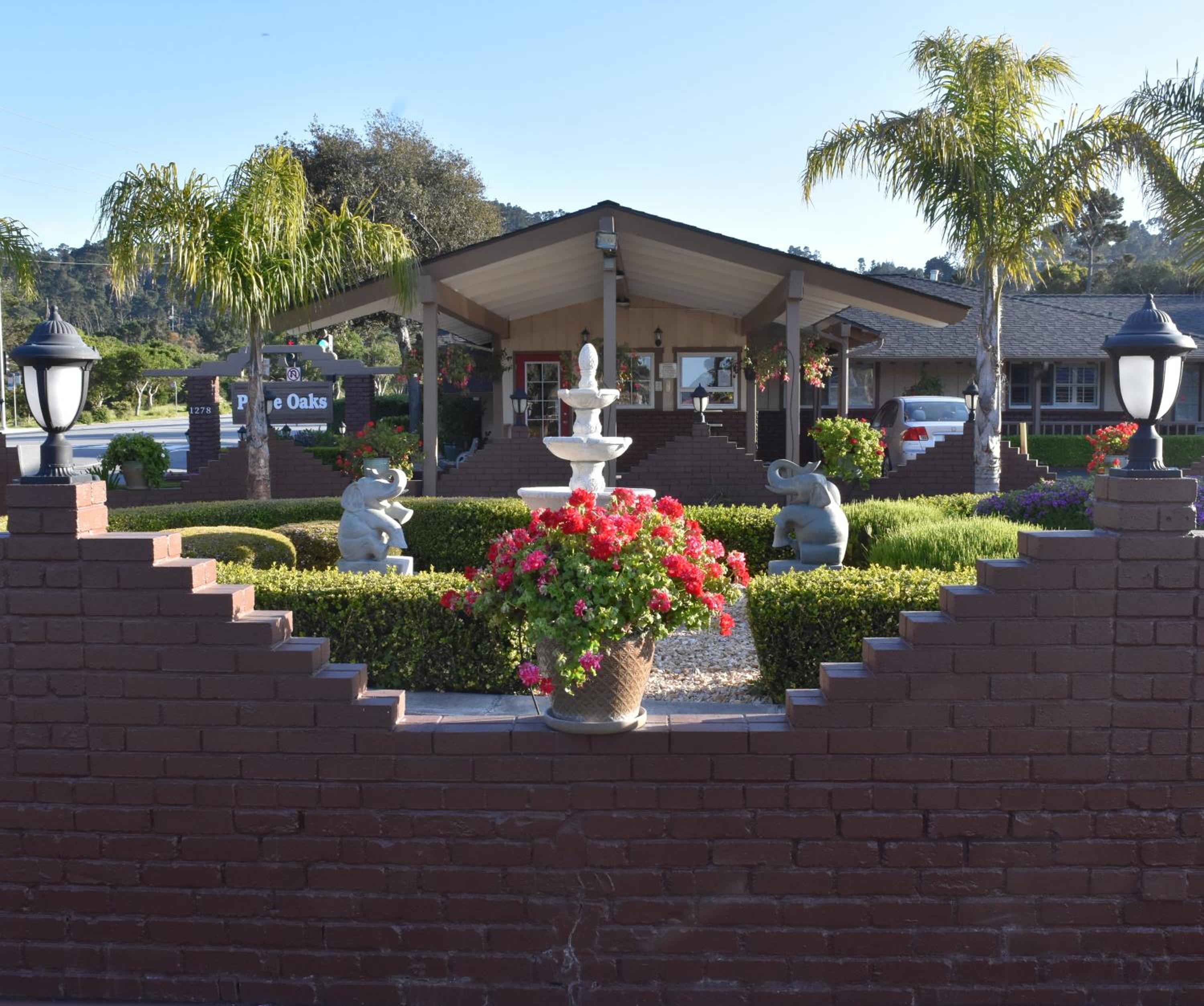 Padre Oaks