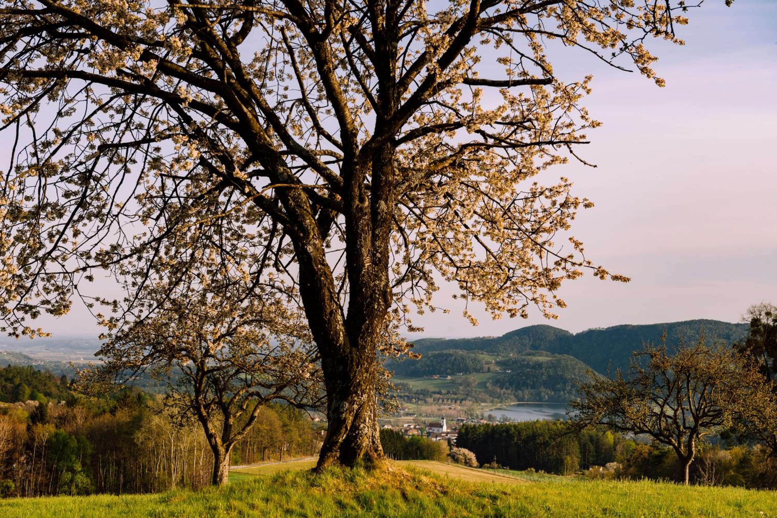 Landhaus GRETE