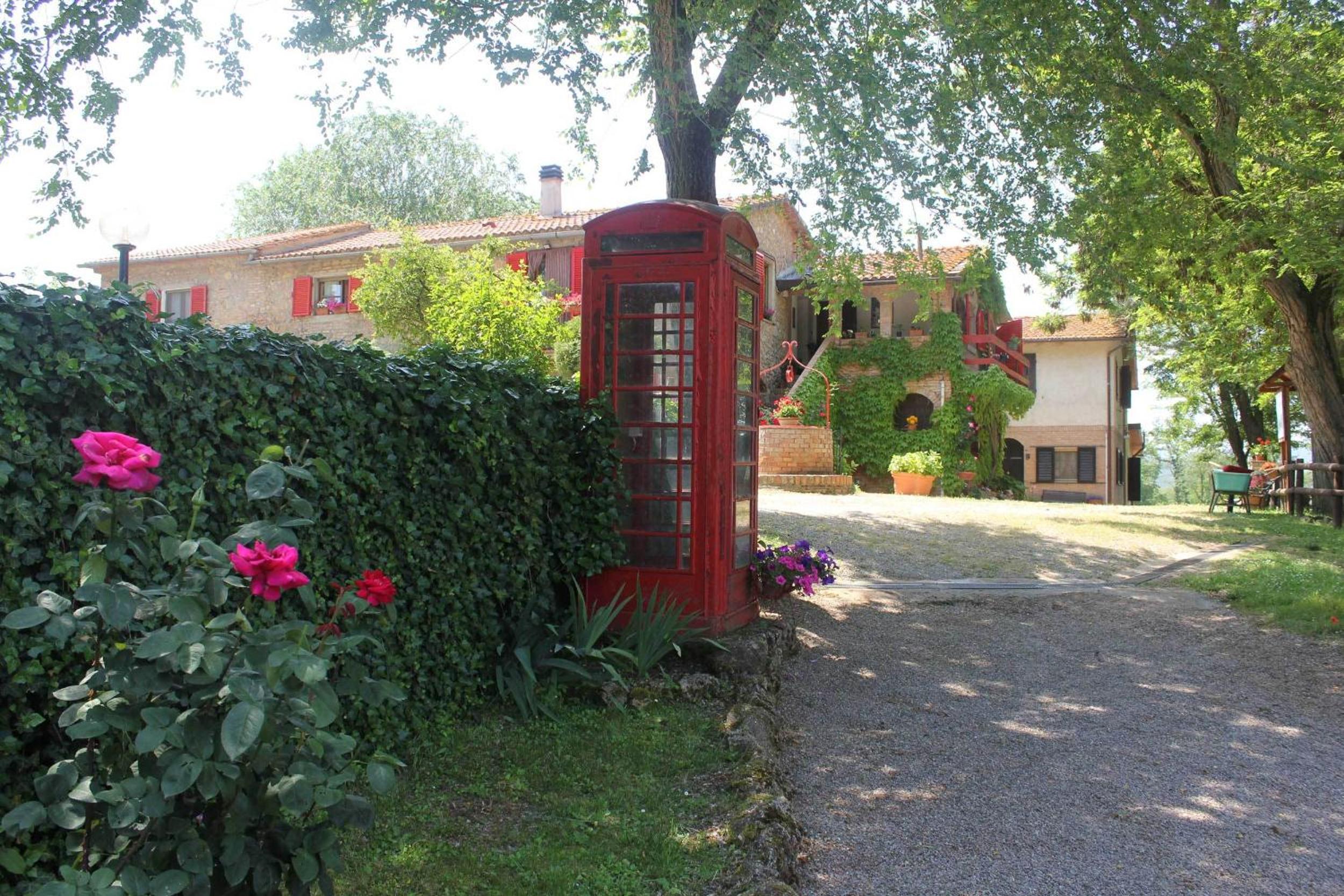 Photo 41