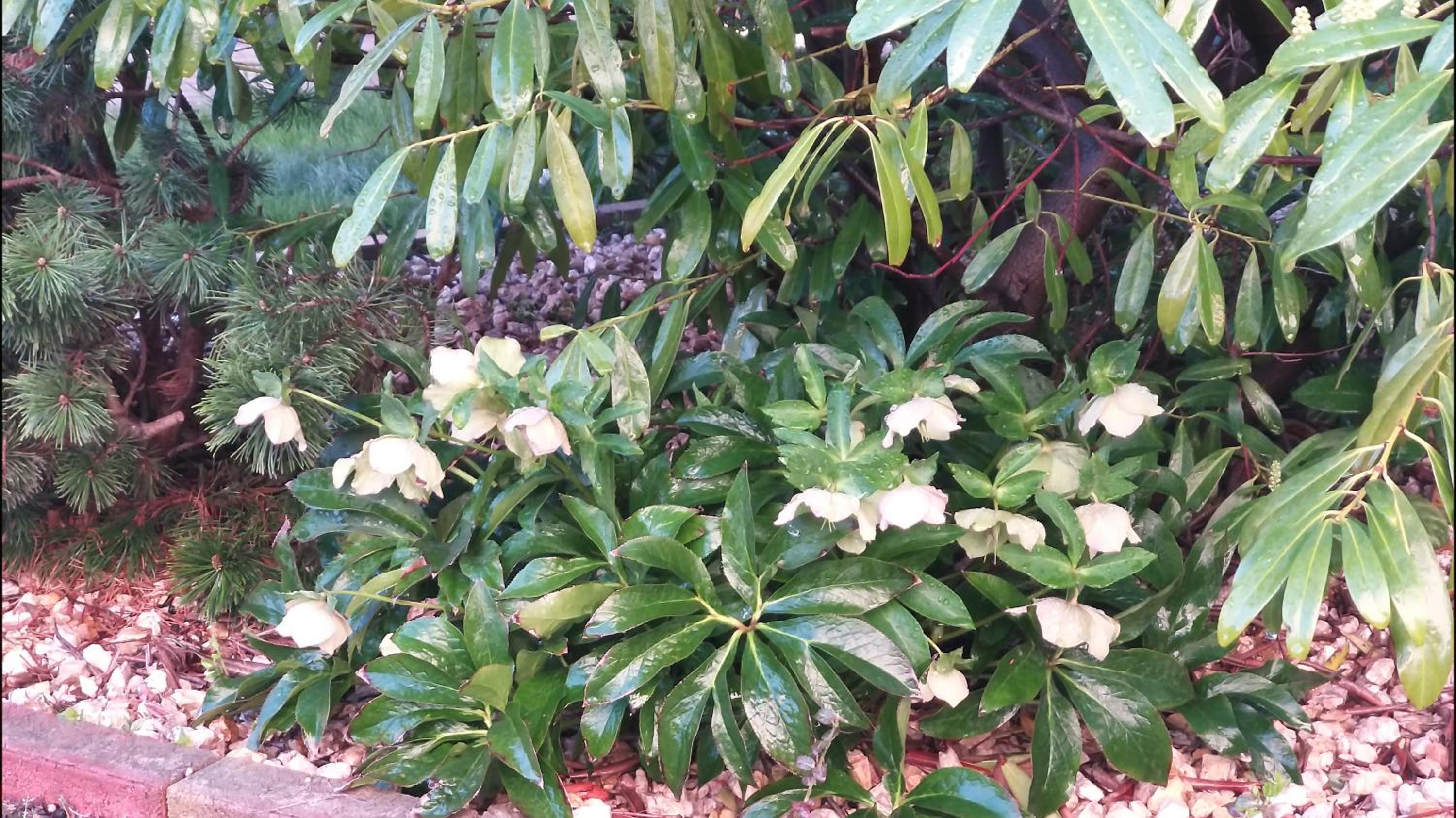 Photo 17