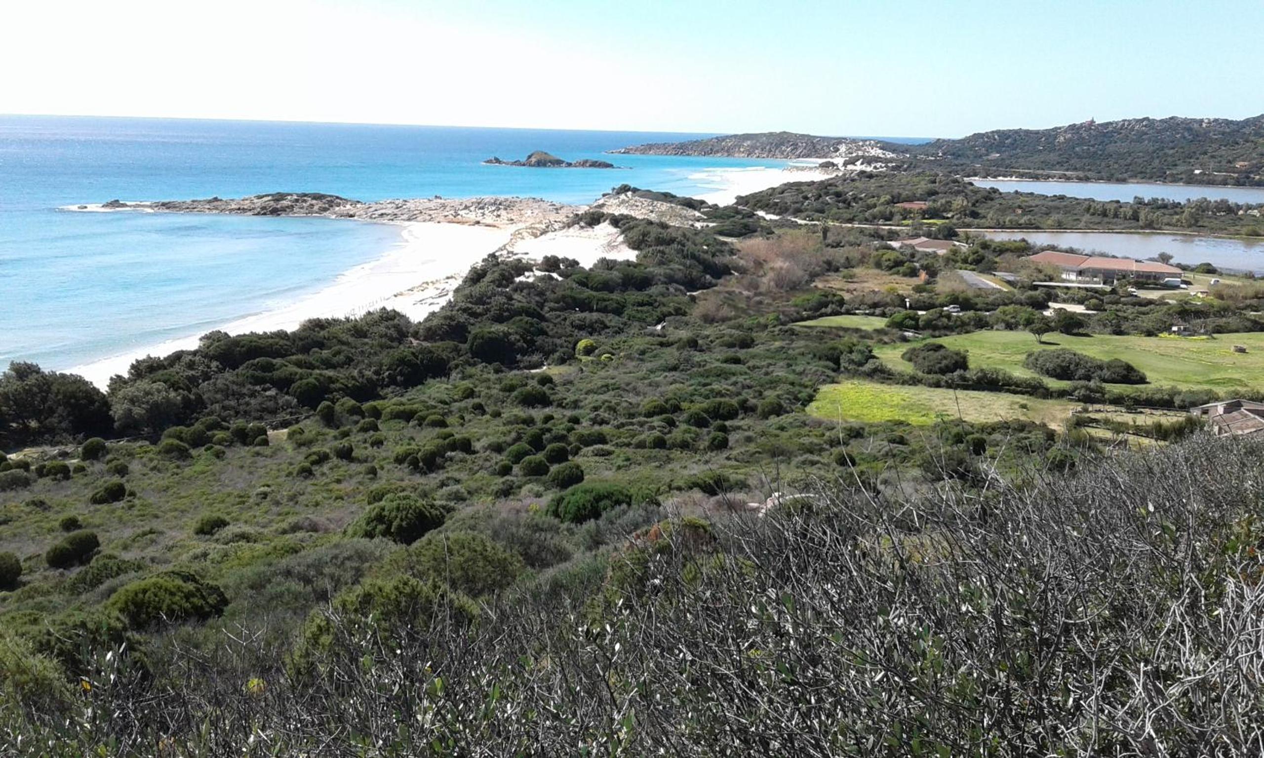 L'Onda Blu