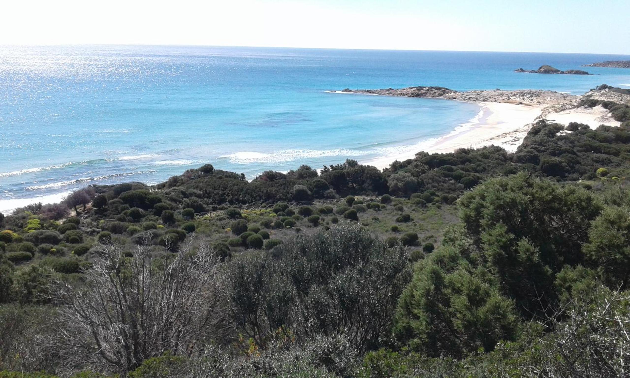 L'Onda Blu