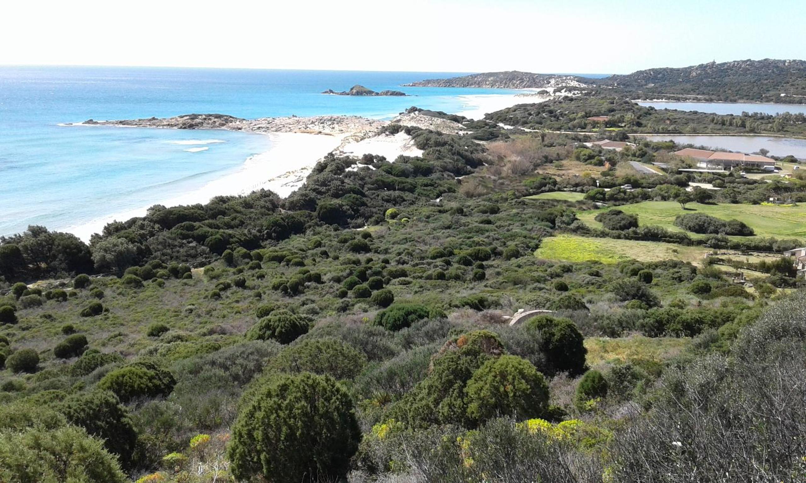 L'Onda Blu