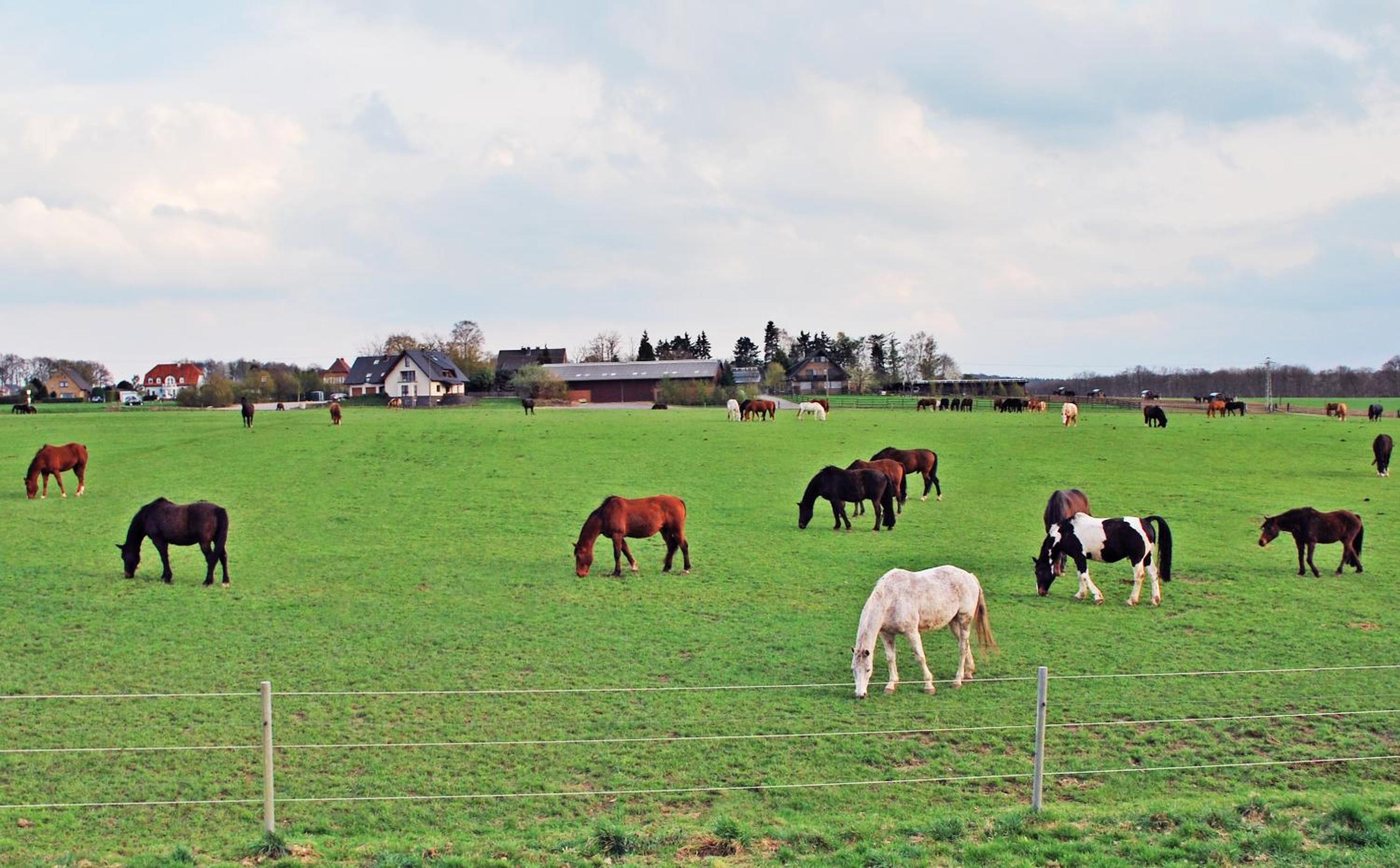 Ferienwohnung Bergblick Xanten