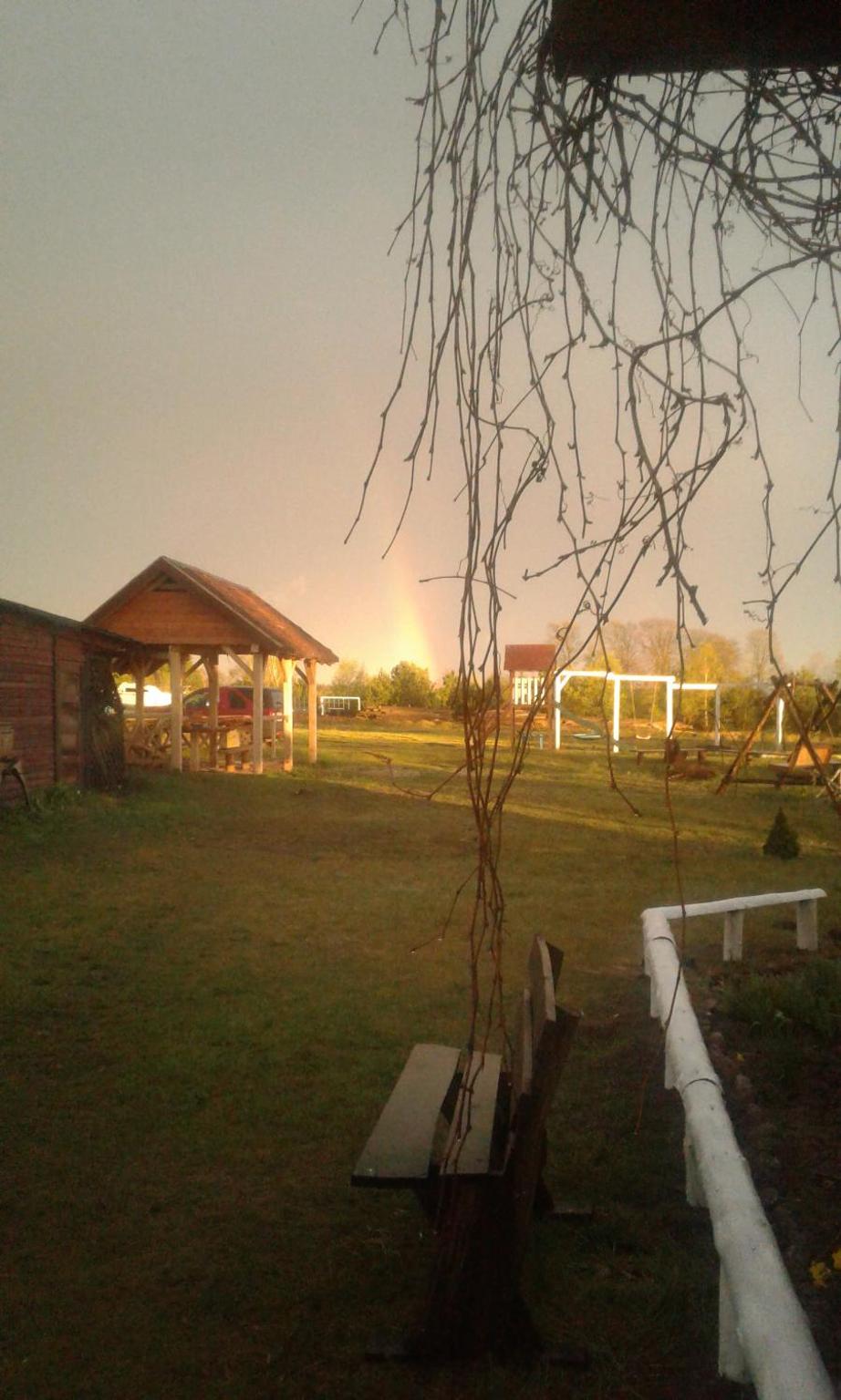 Photo 46