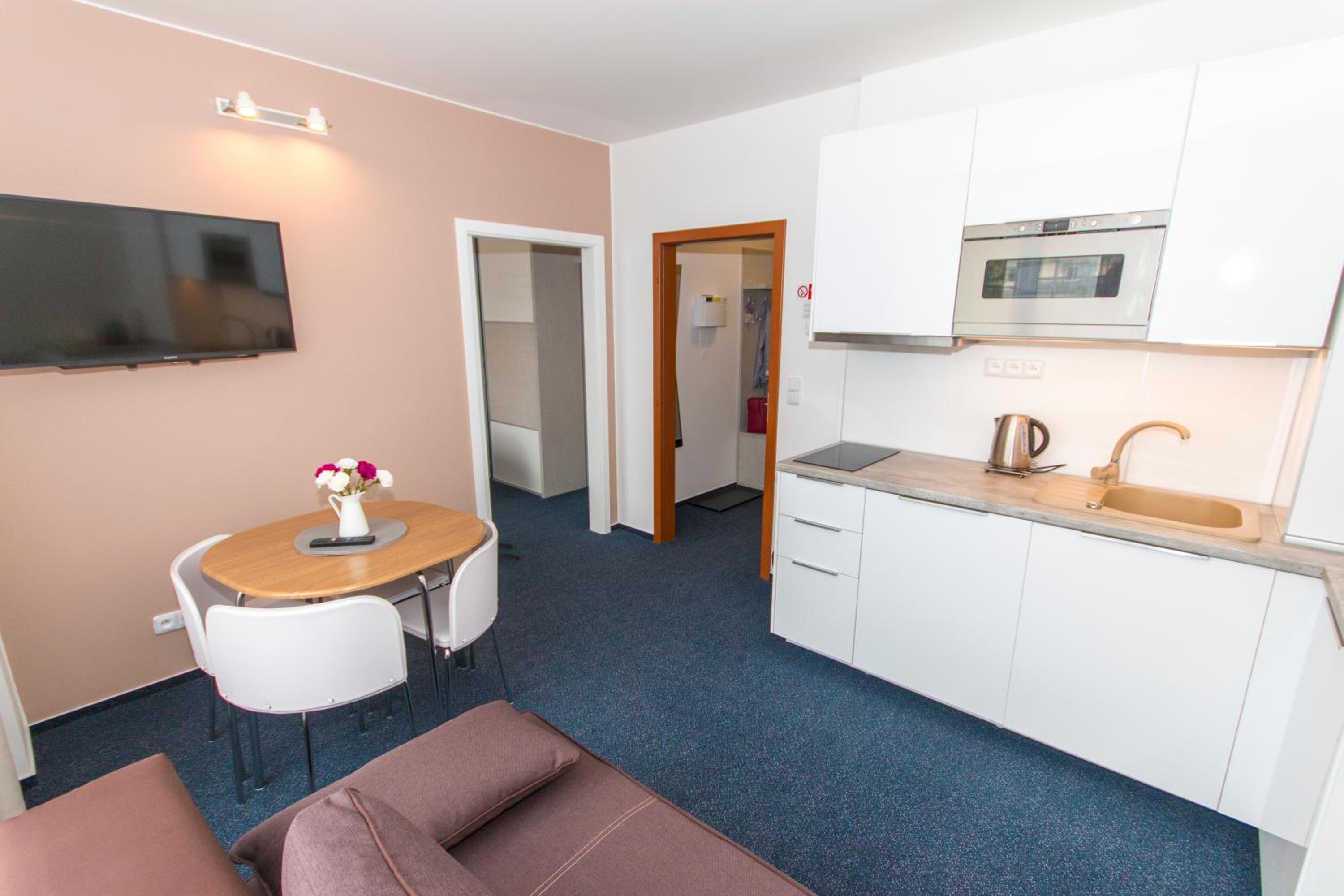 Kamalip Apartment Frymburk view 3