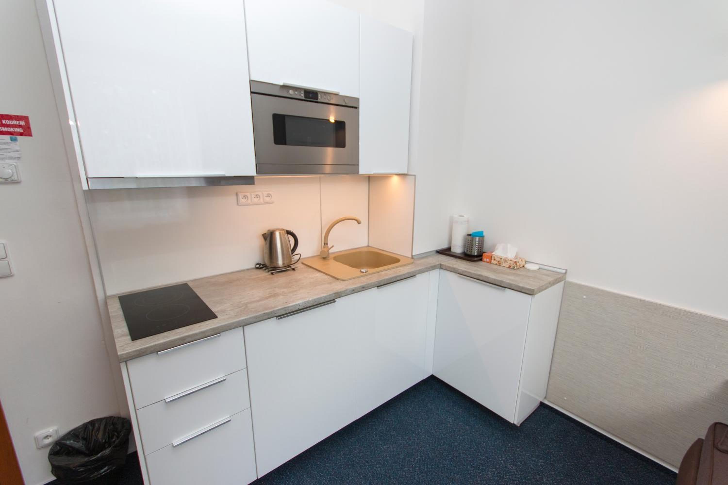 Kamalip Apartment Frymburk view 4