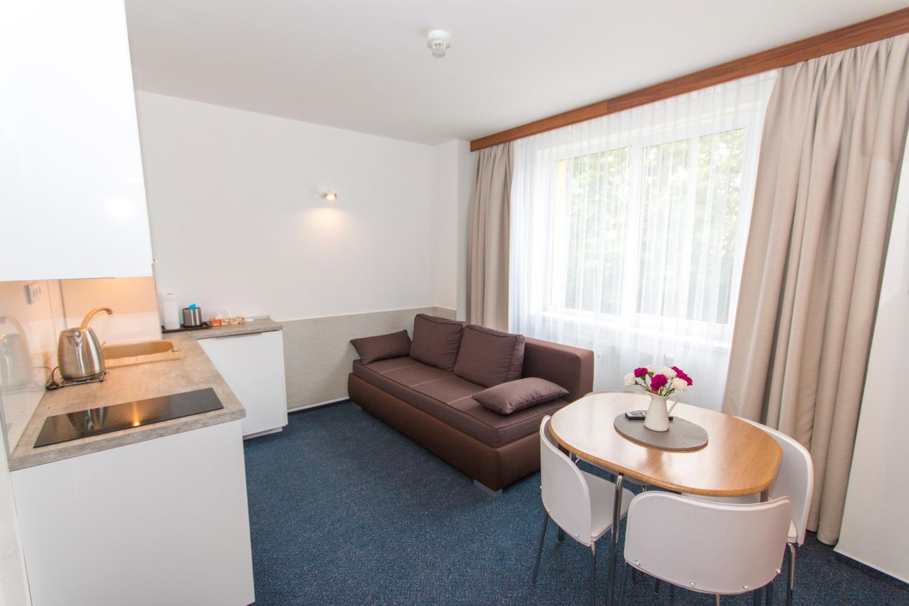 Kamalip Apartment Frymburk view 5