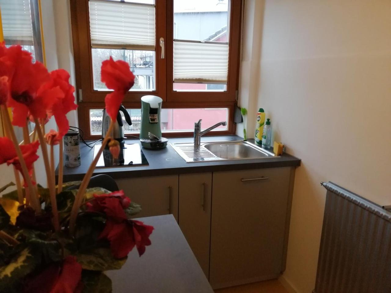 Haus Meersburg Rebe