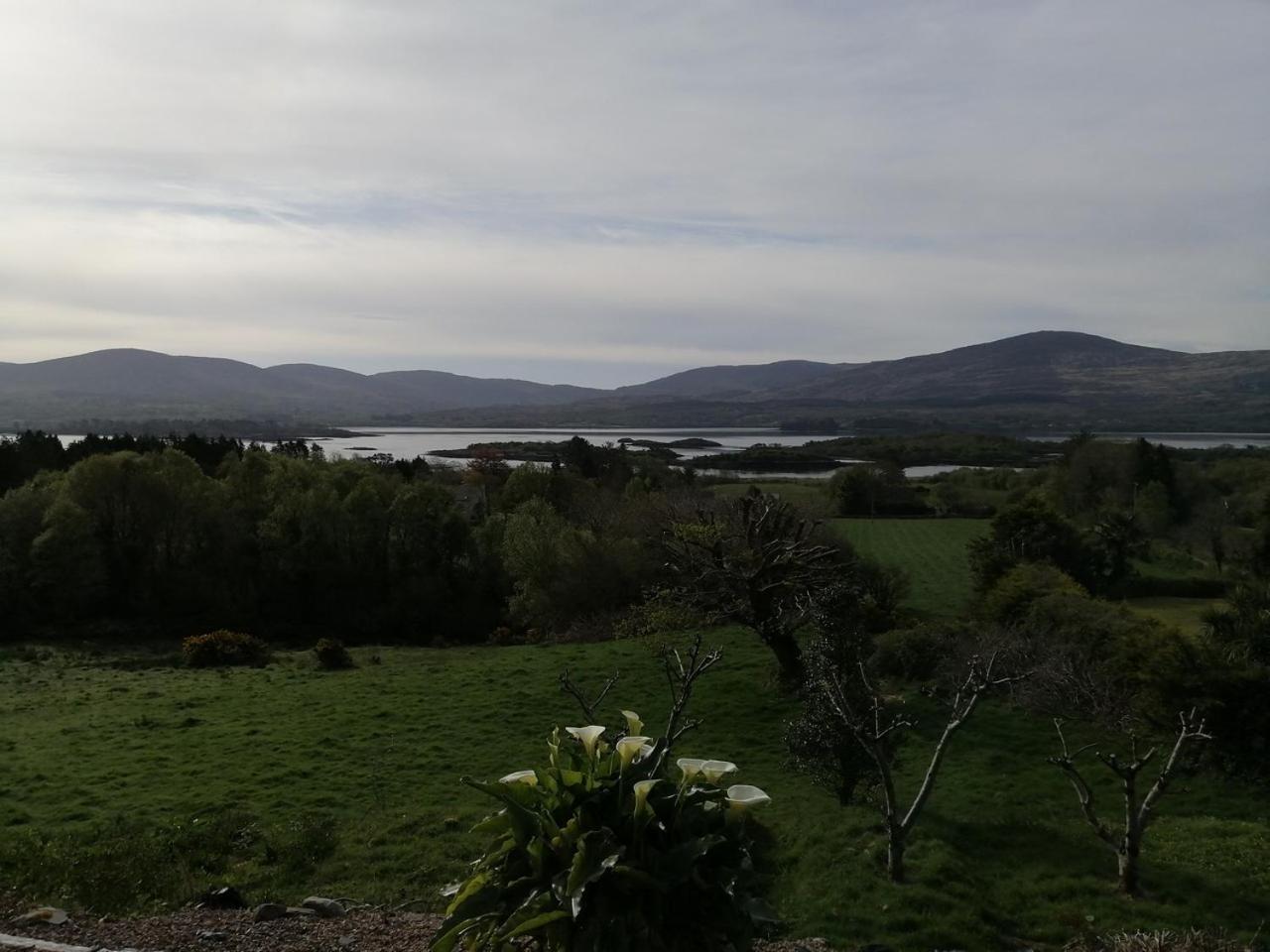 Grenane Heights