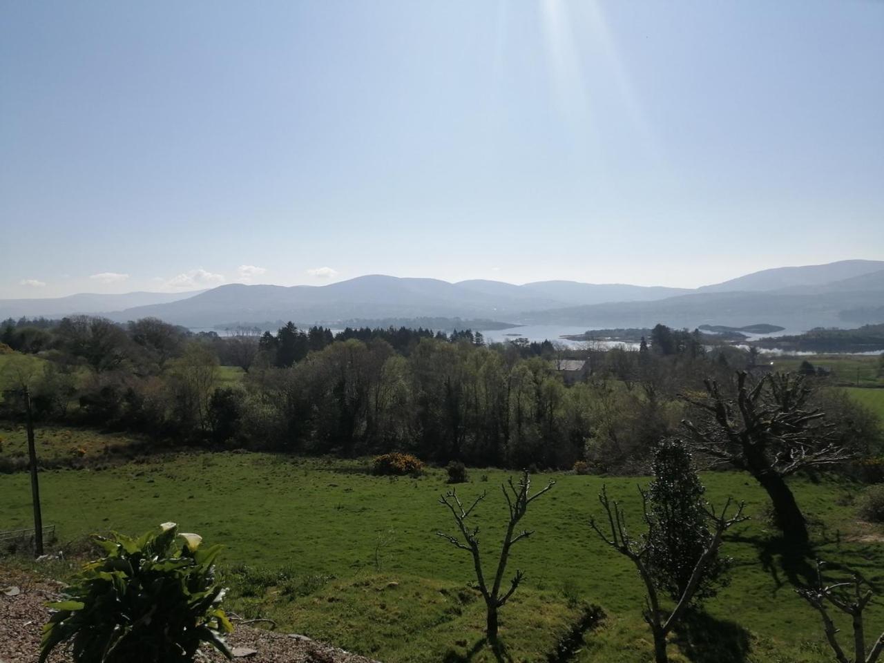 Grenane Heights