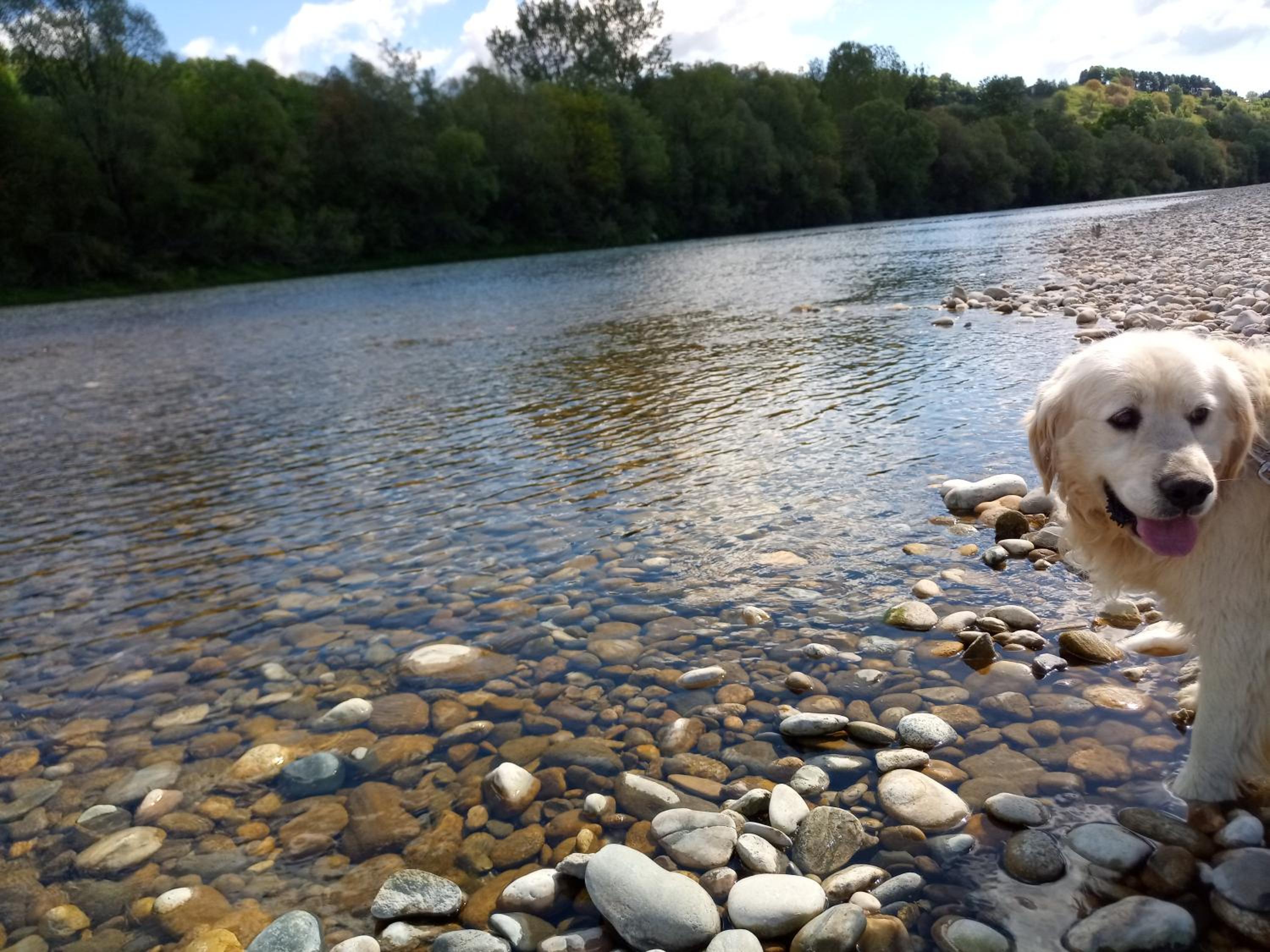 Photo 47