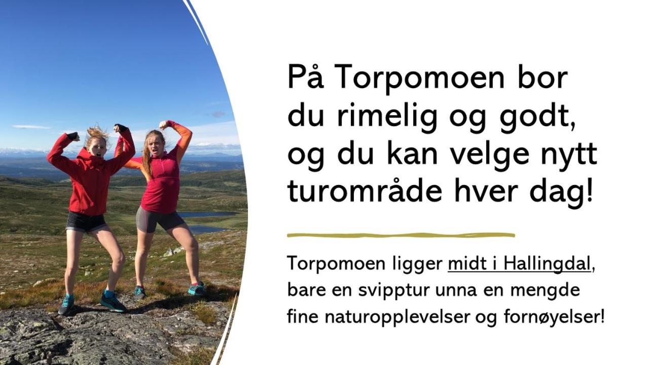 Torpomoen view 5