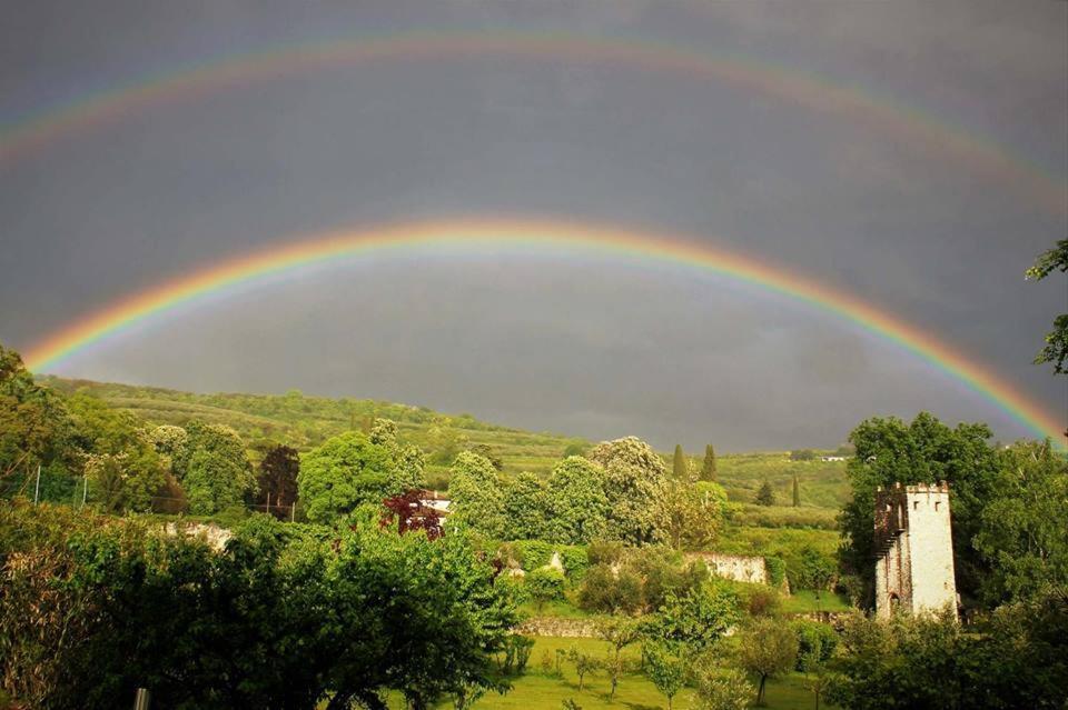 B&B La Grola photo 5