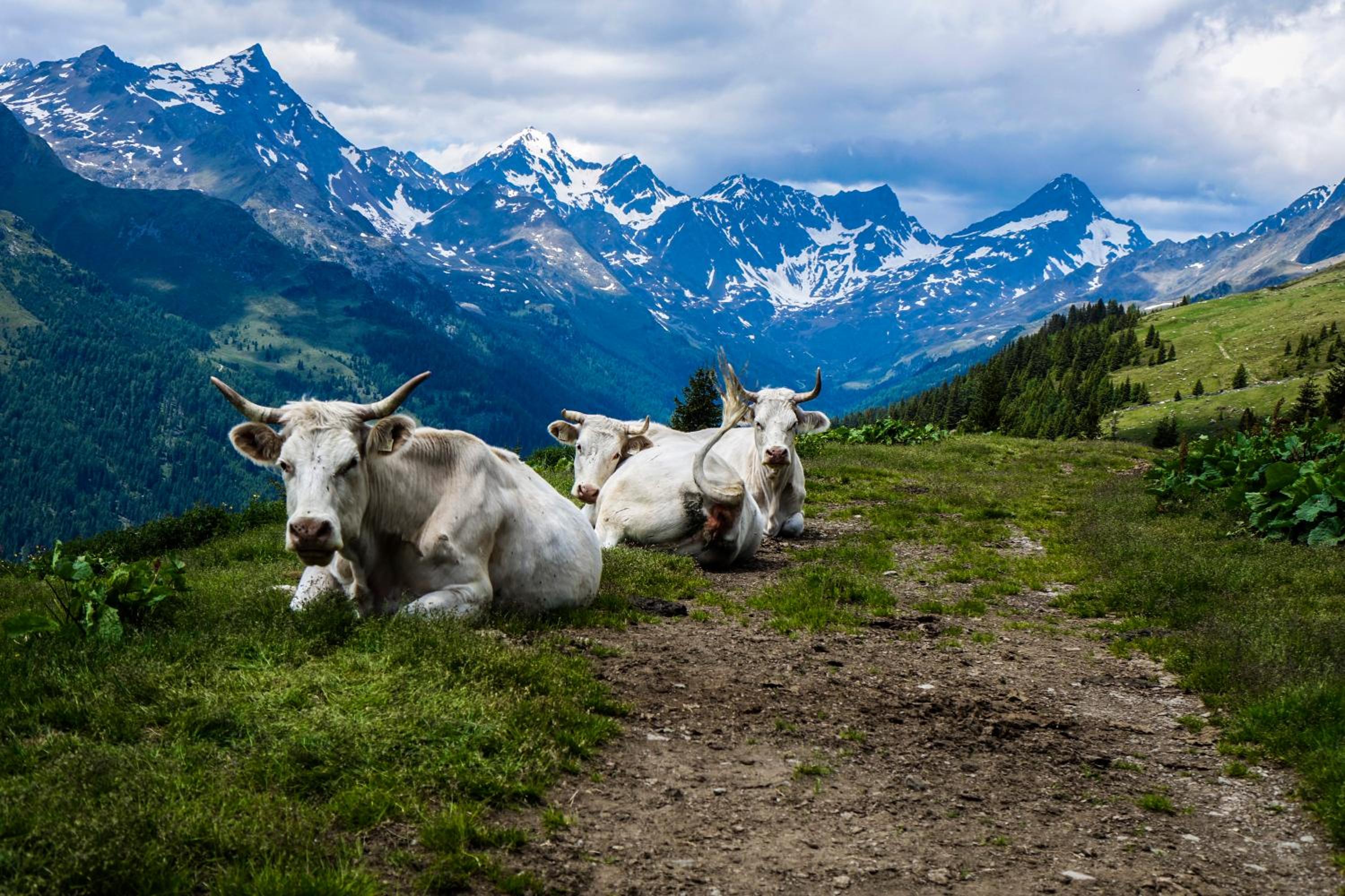 Haus Alpengluehn view 5