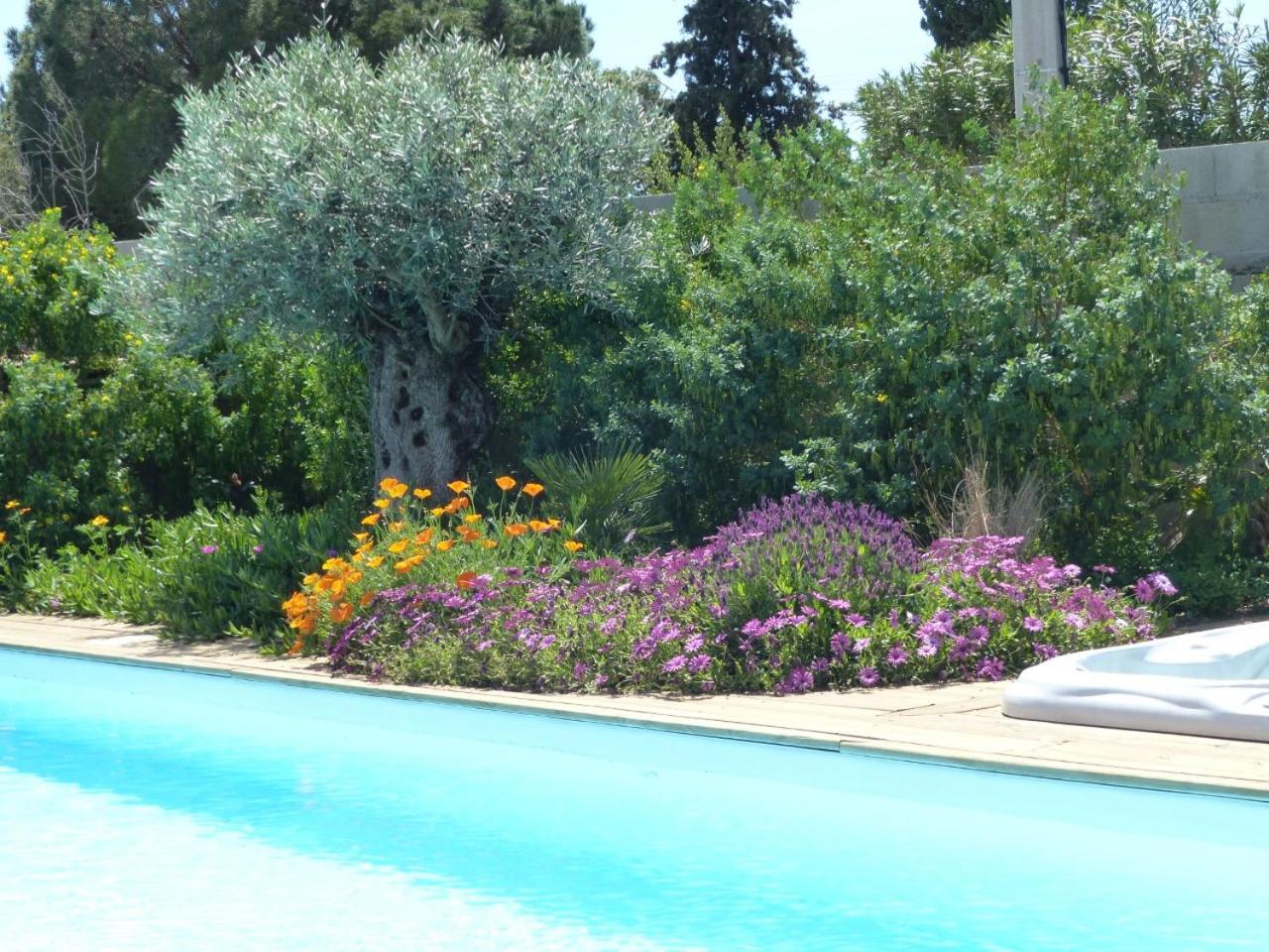 Hotel Gite Les Lauriers Roses