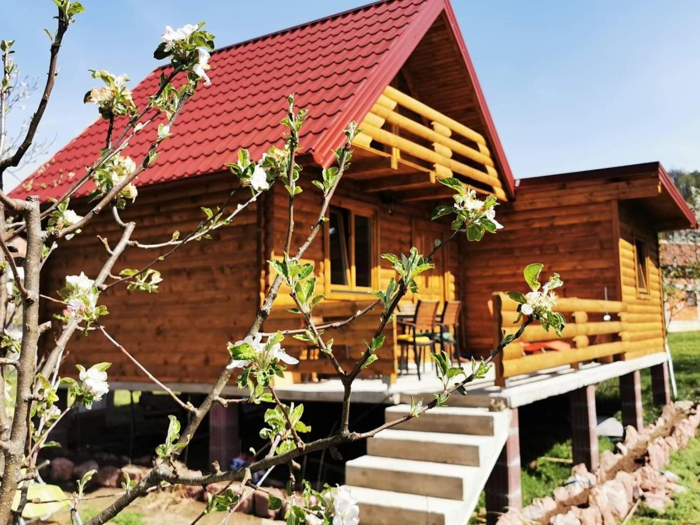 Wooden House 