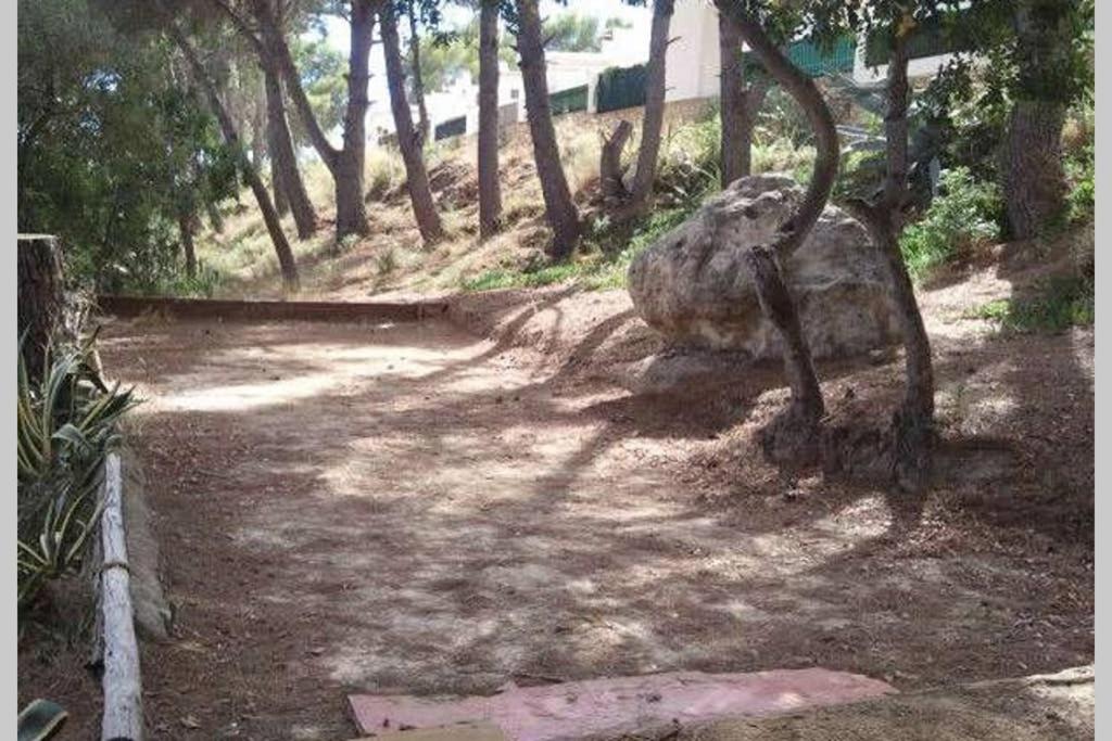 Apartamento entre la playa y la montaña