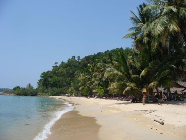 Jeroen's Jungle View view 4