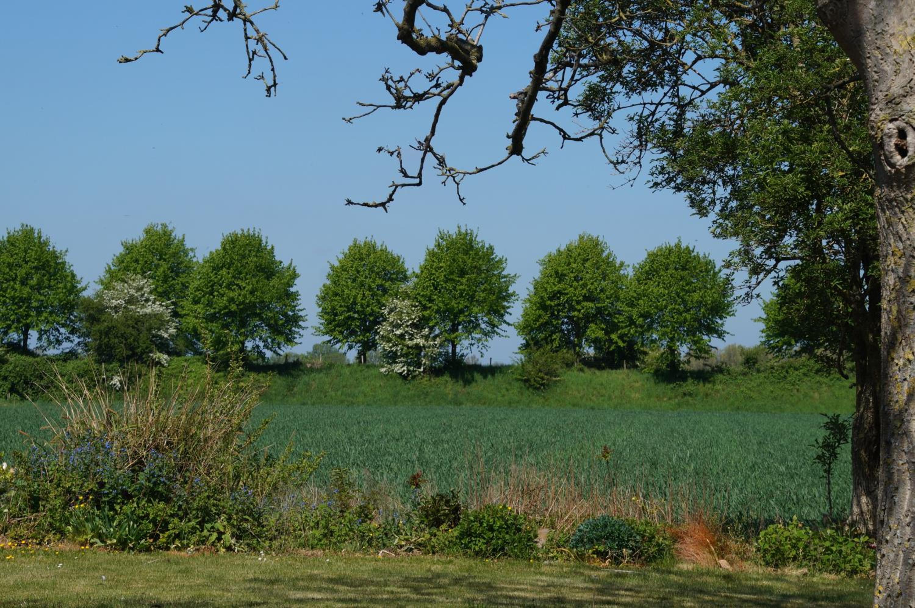 Photo 29