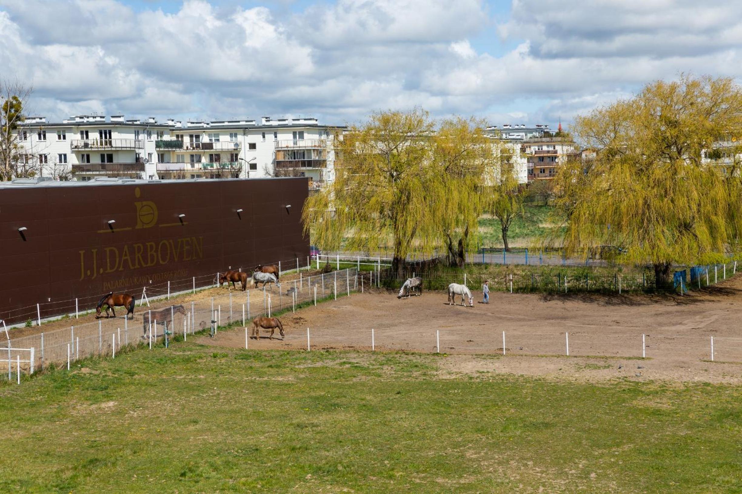 children's play area