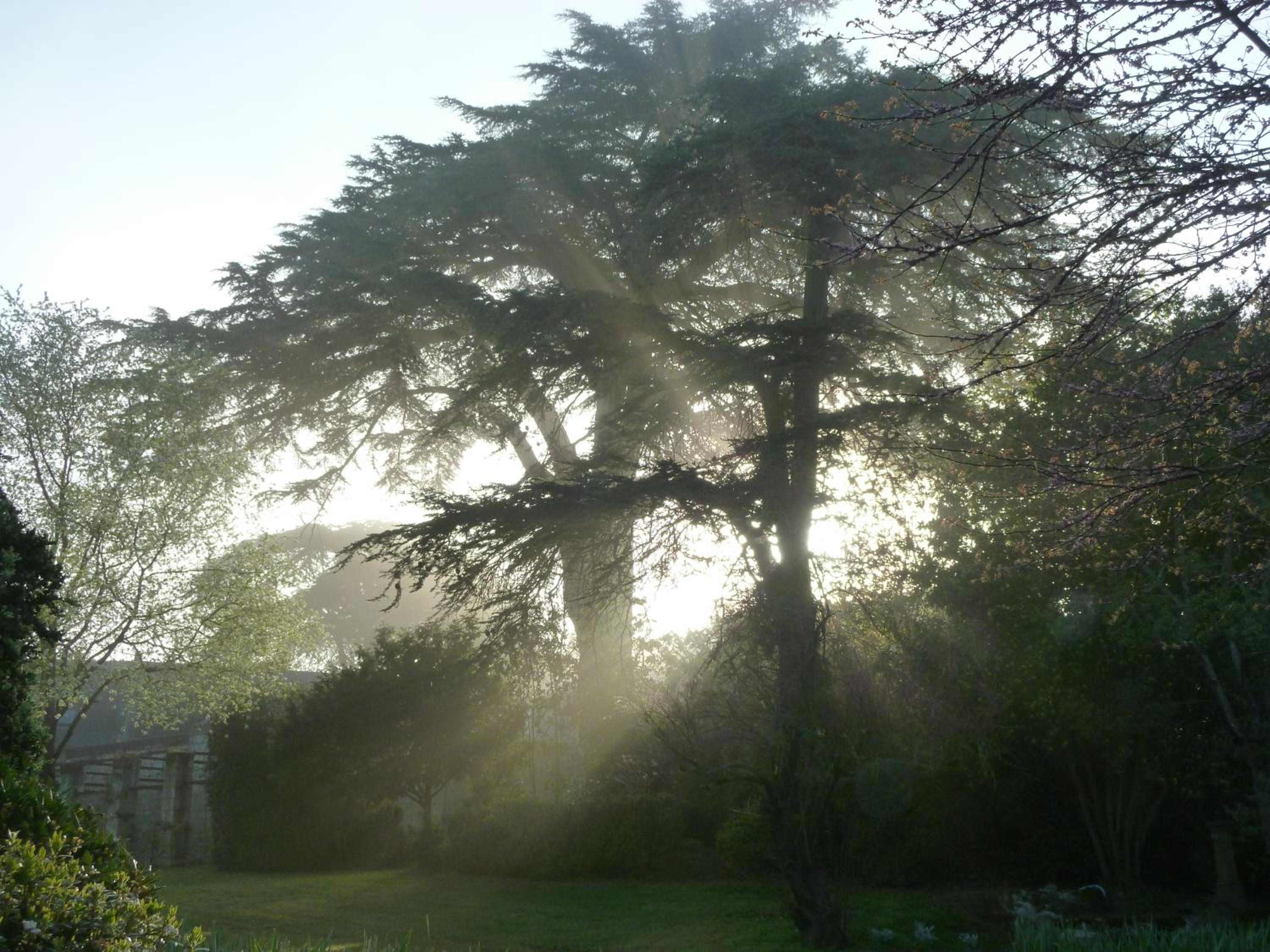 Manoir de Boisairault