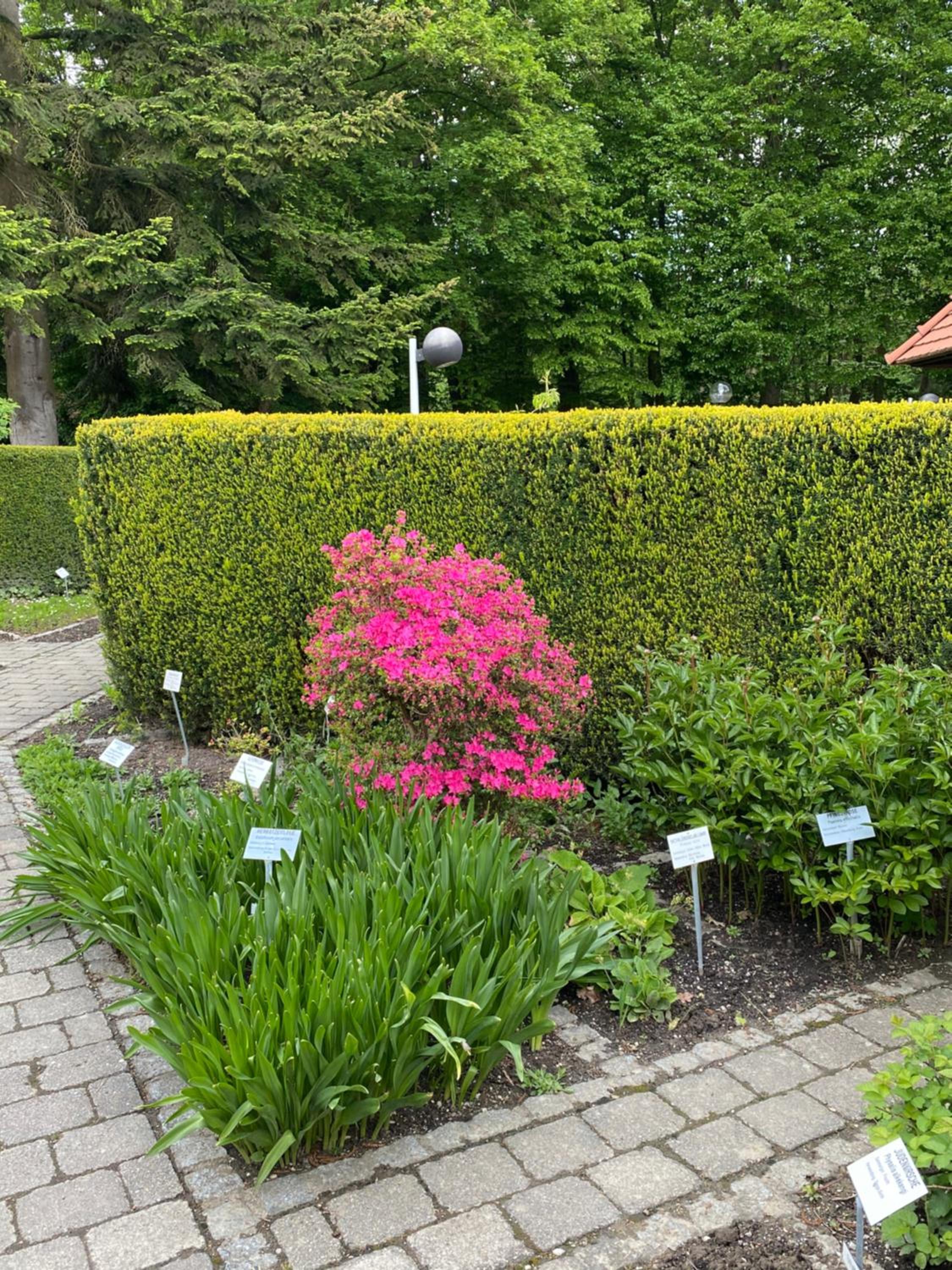 Photo 20