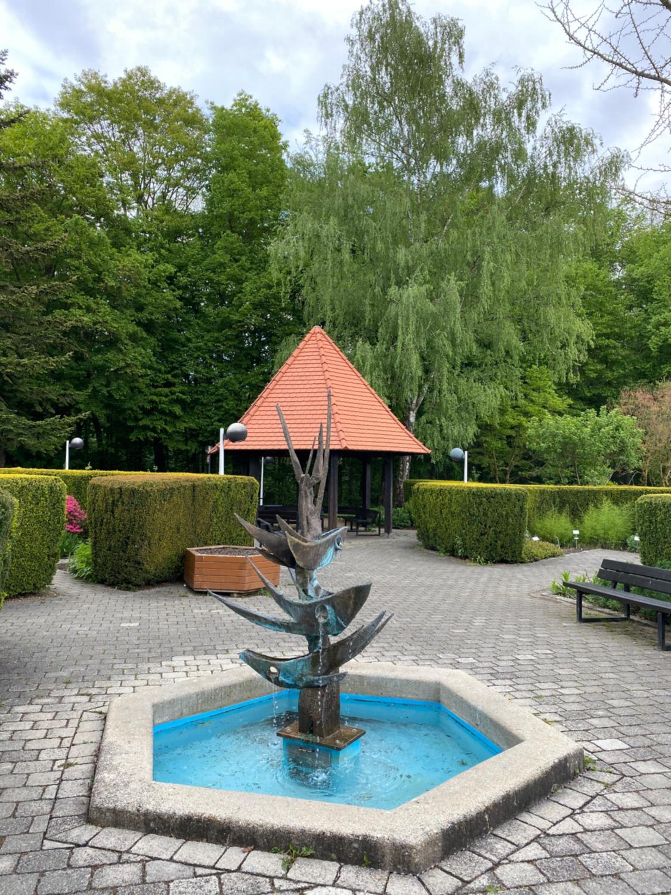 Photo 19