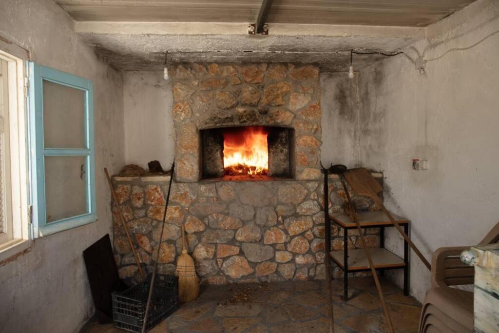 Photo 48