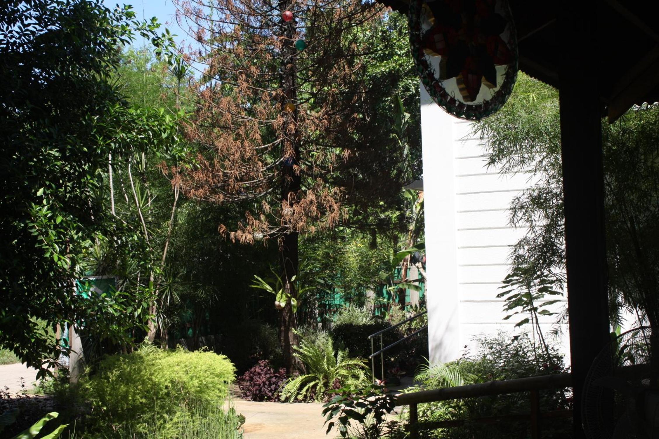 Greenspace Palawan 照片第 33 張,共 35 張