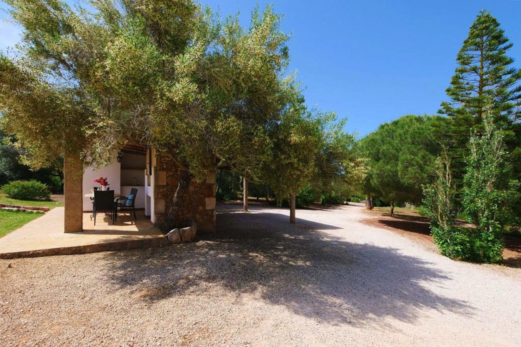 Finca ES FIGUERAL