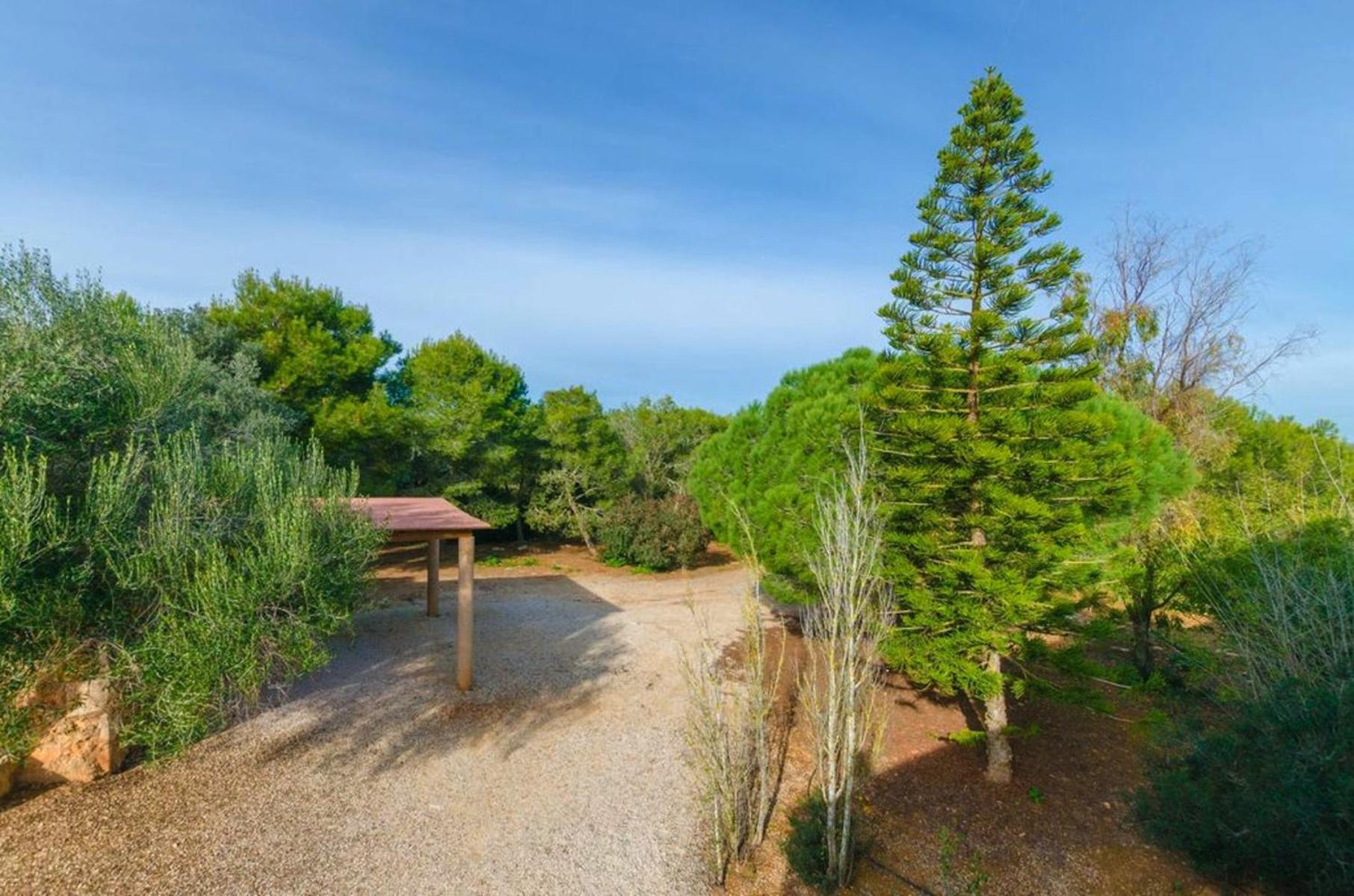 Finca ES FIGUERAL