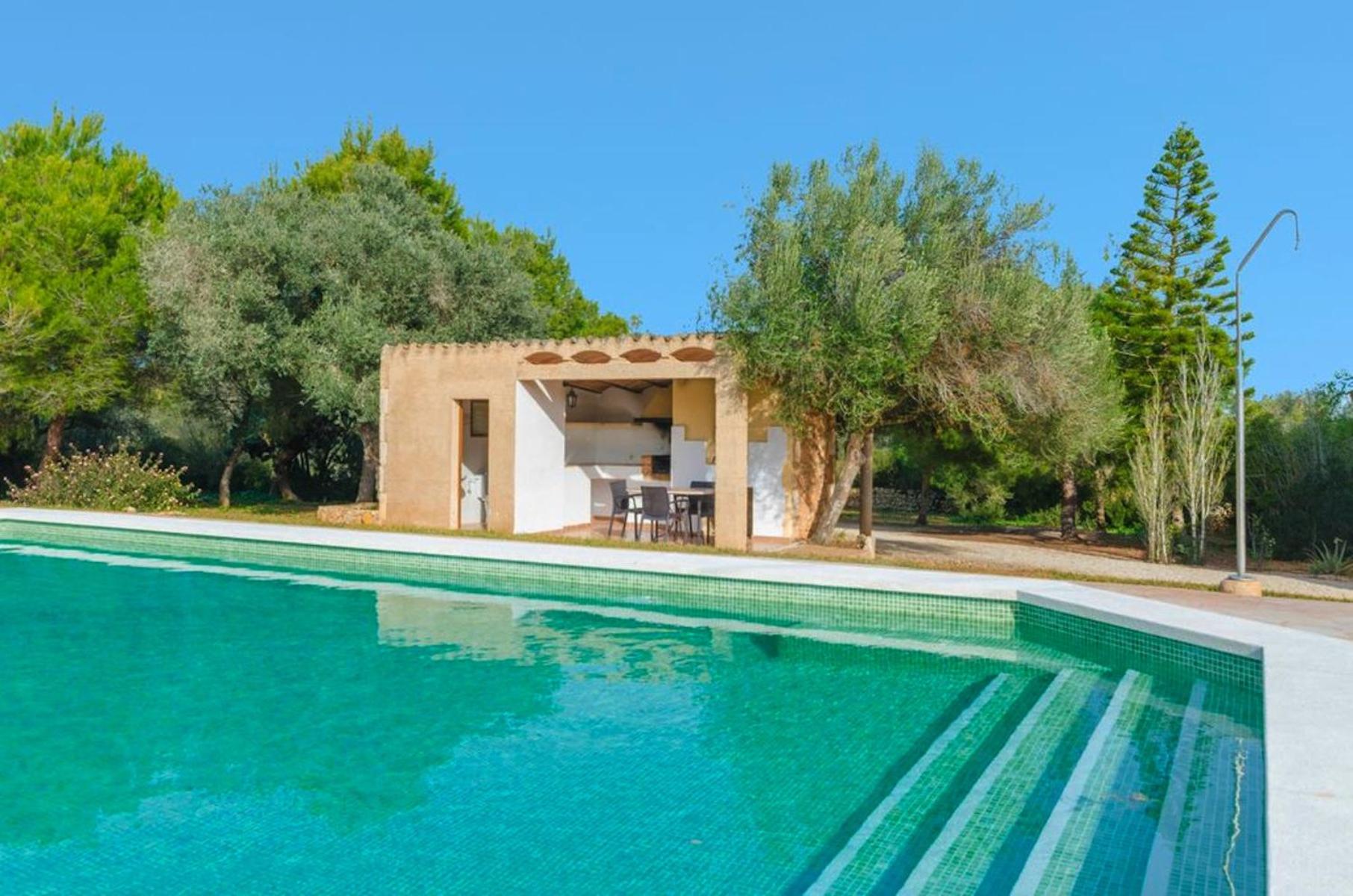 Finca ES FIGUERAL