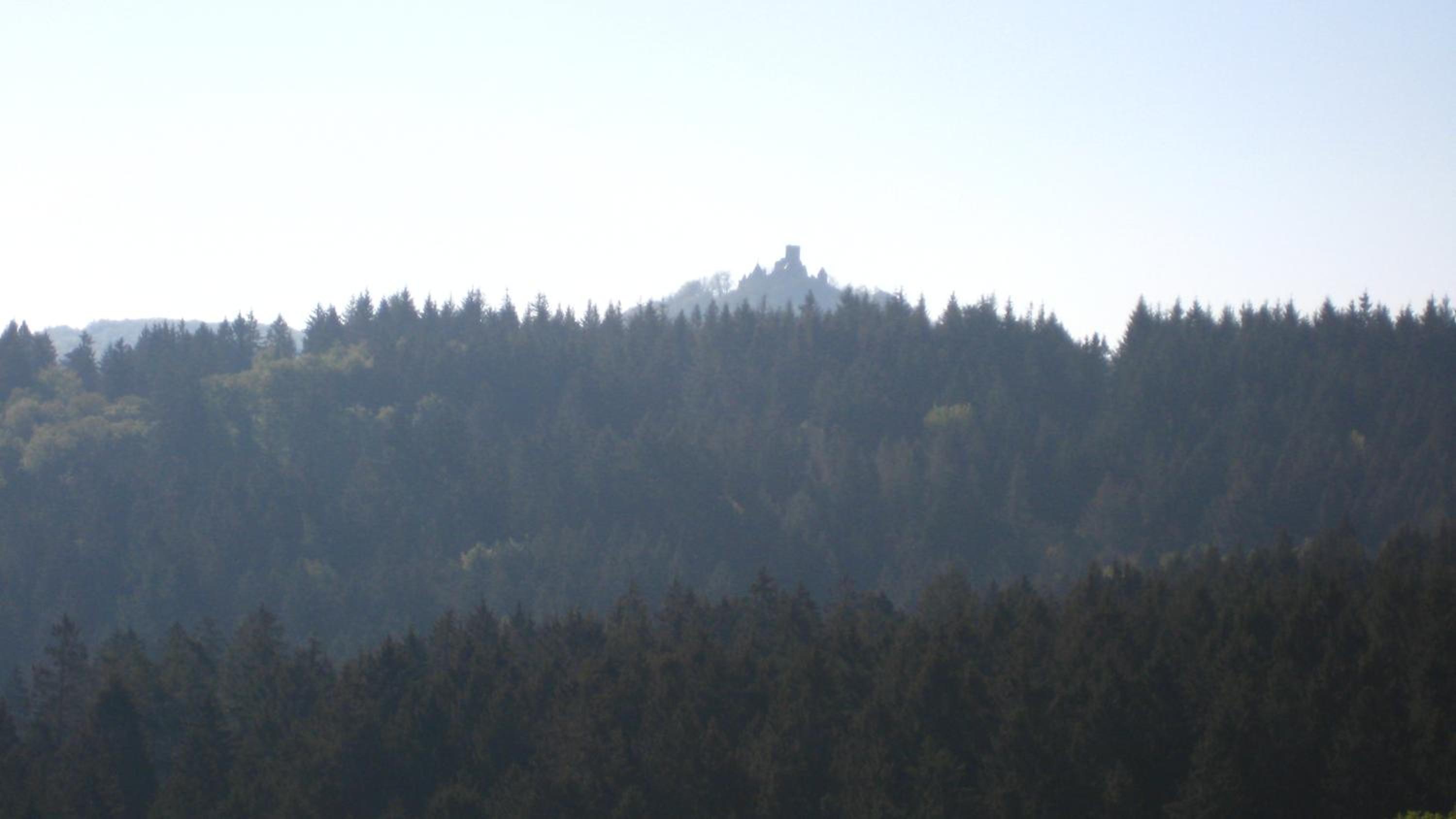 Photo 20