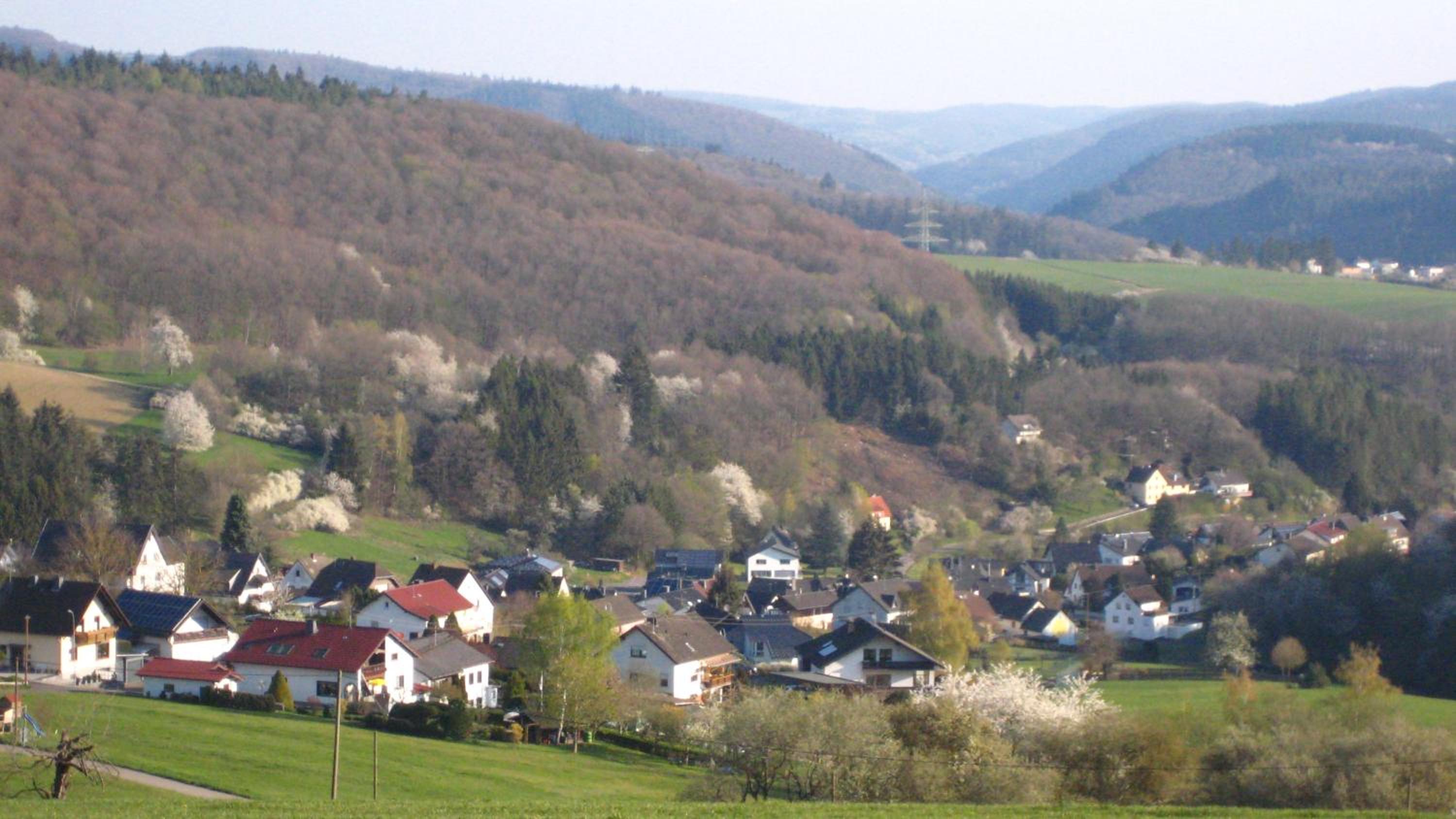 Photo 25