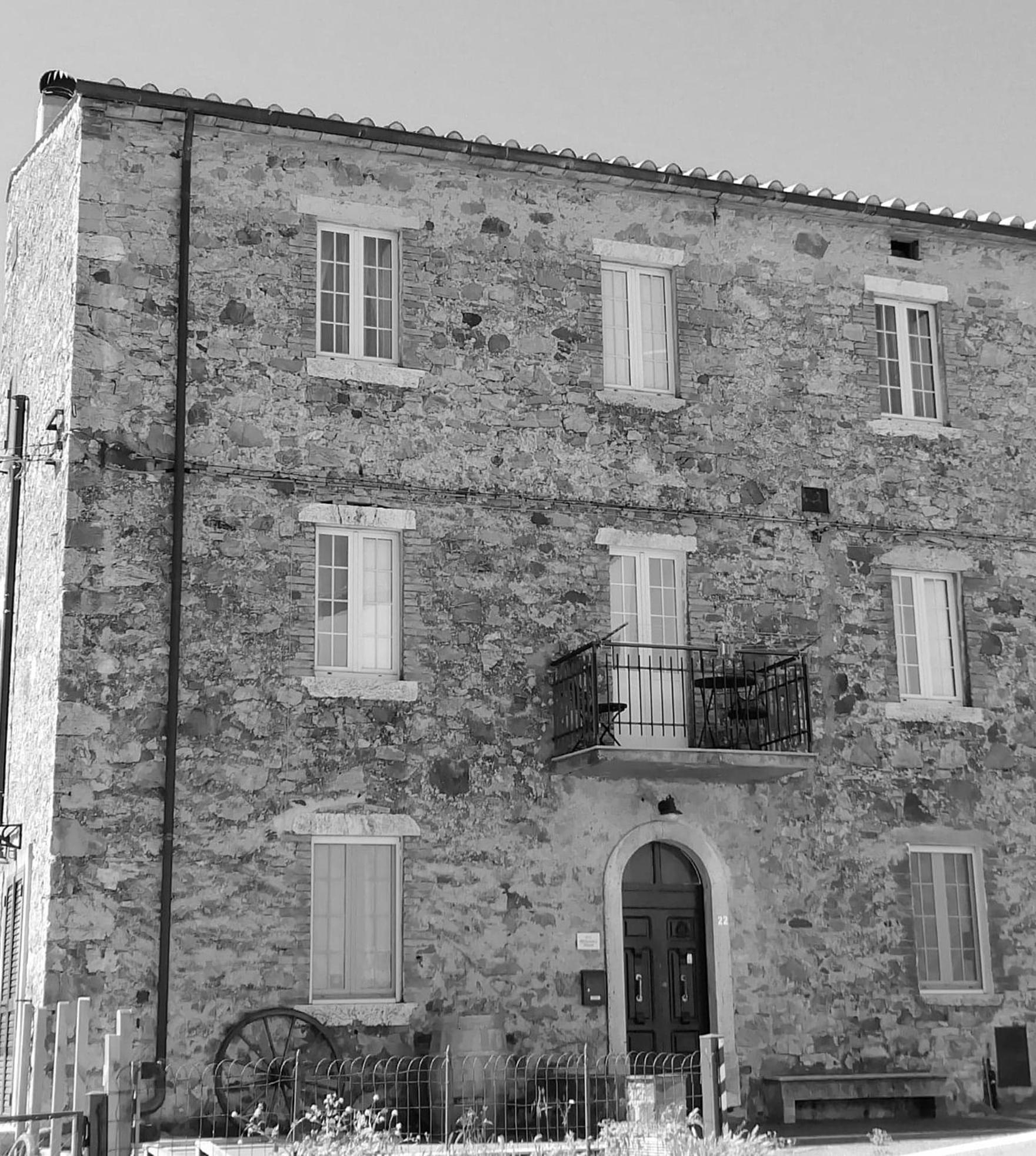 Photo 19